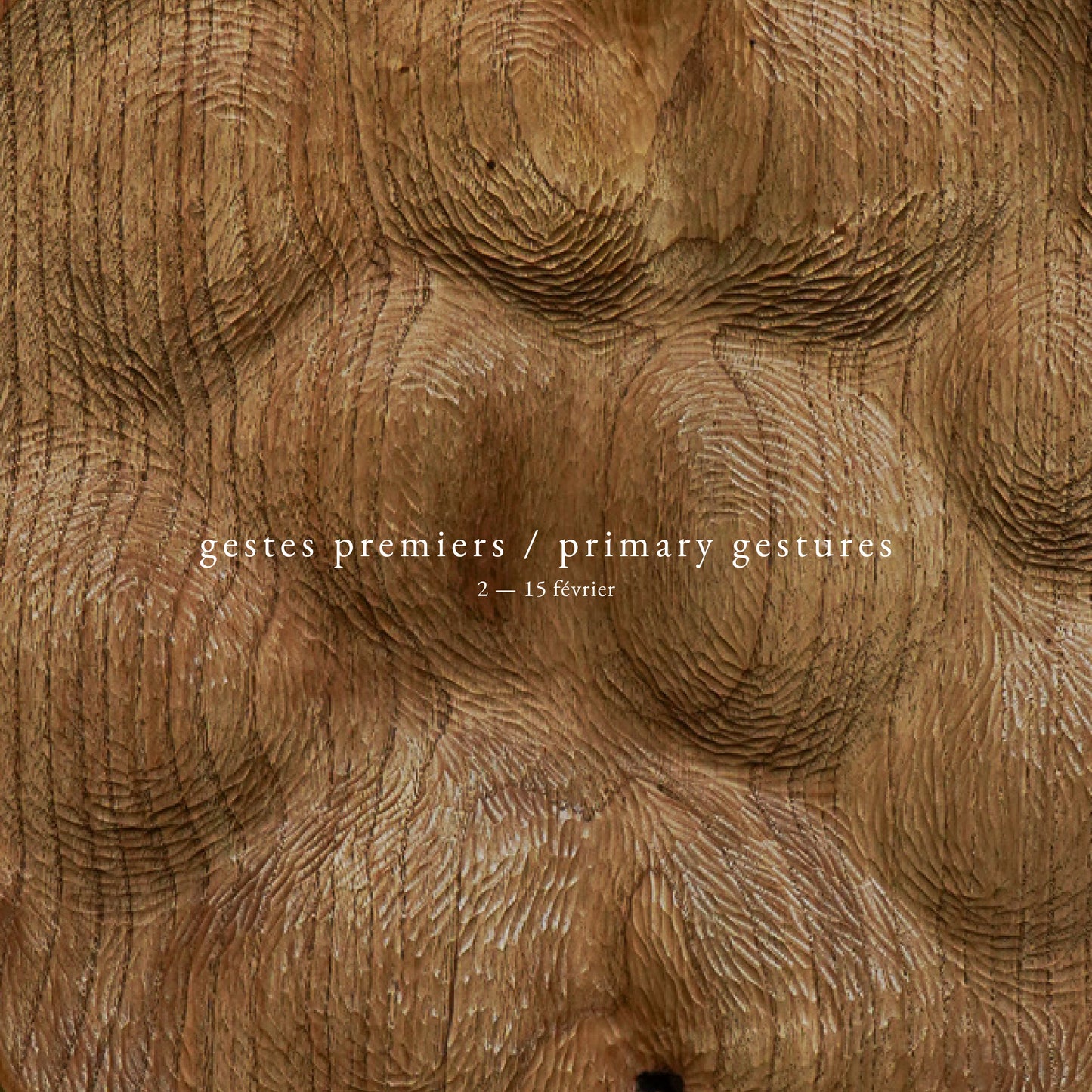 Gestes Premiers