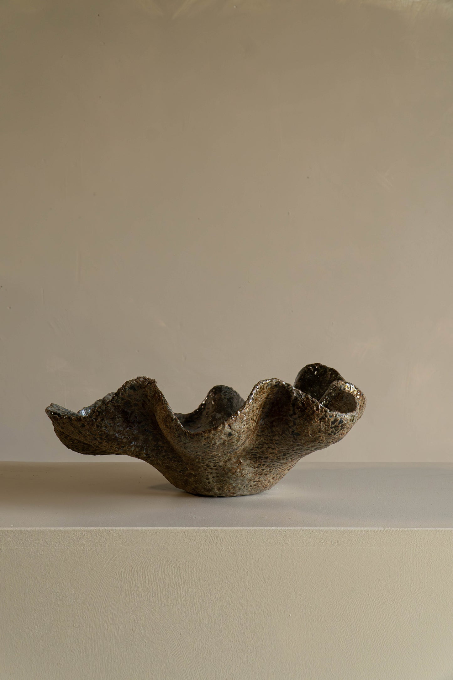 COUPE « COQUILLAGE »