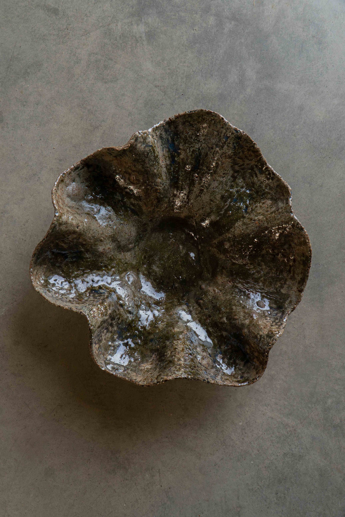 COUPE « COQUILLAGE »