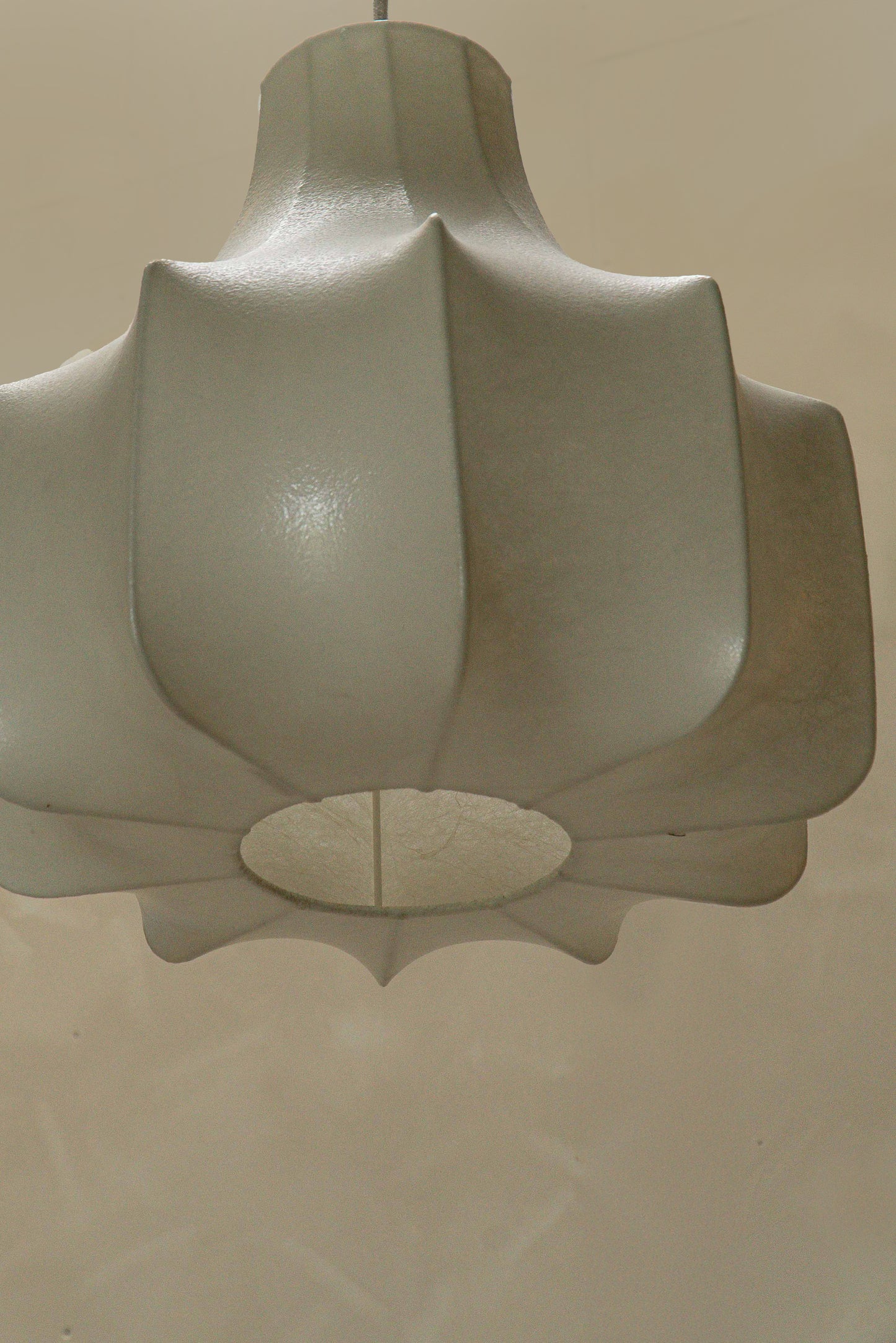 SUSPENSION COCOON