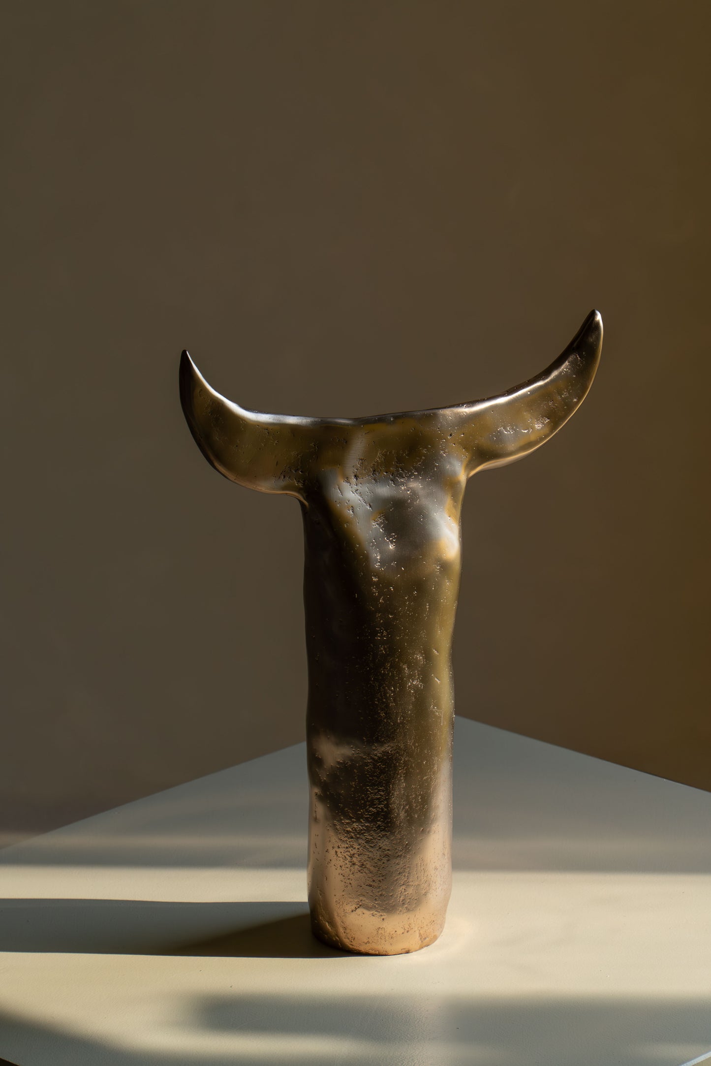 BRONZE BUFFALO MOON