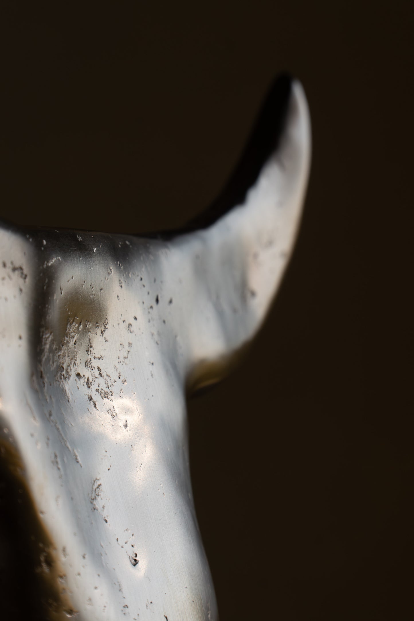 BRONZE BUFFALO MOON