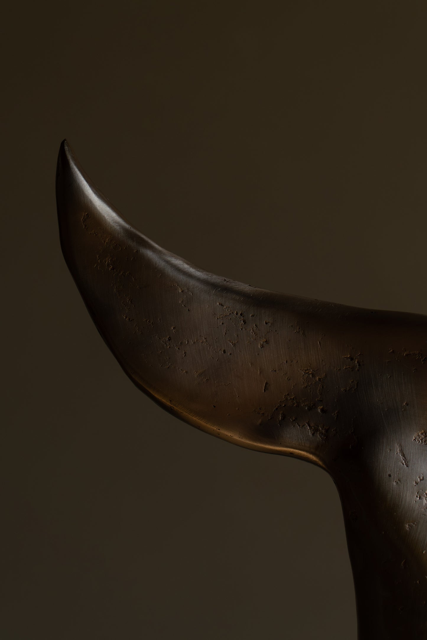 BRONZE BUFFALO MOON