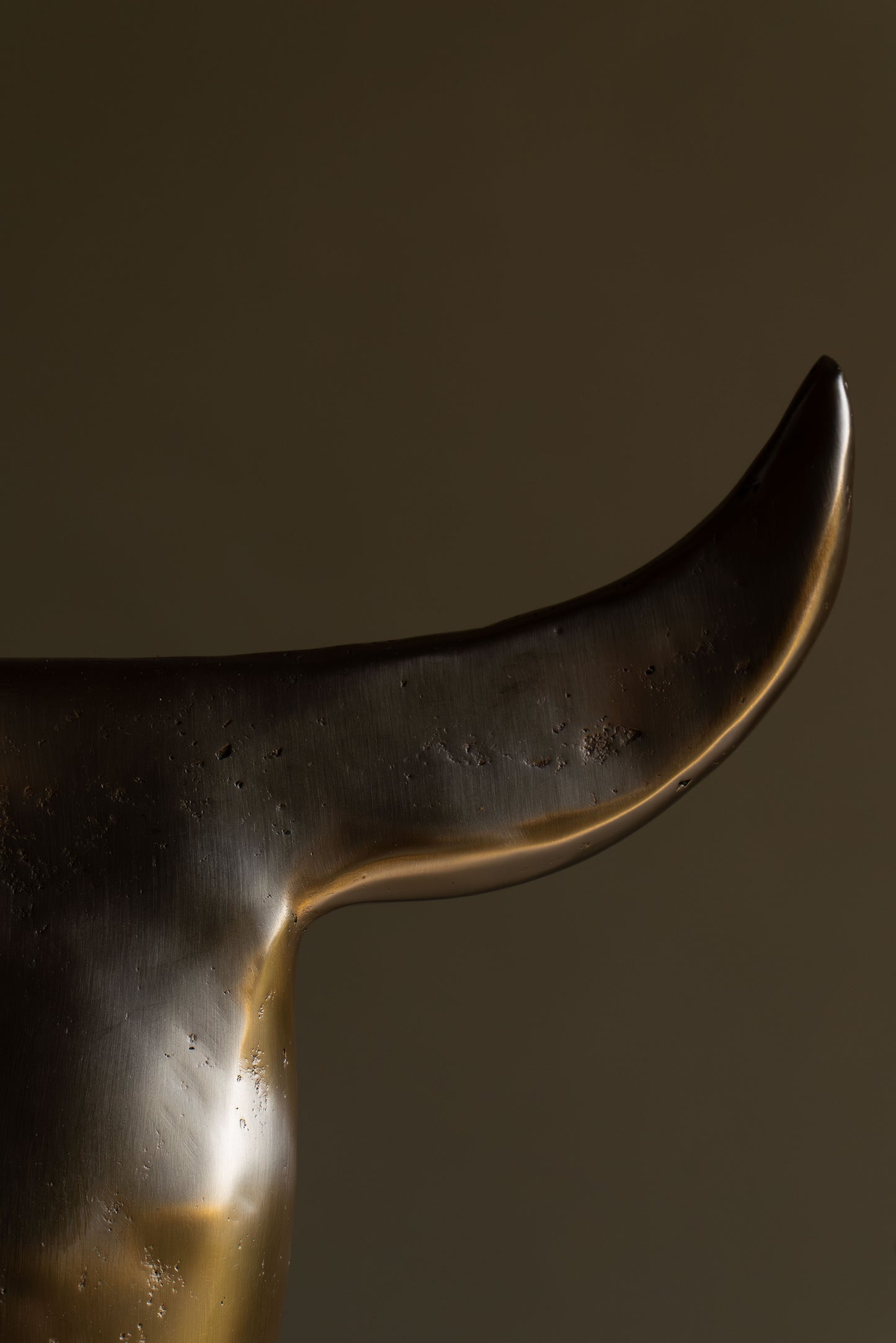 BRONZE BUFFALO MOON