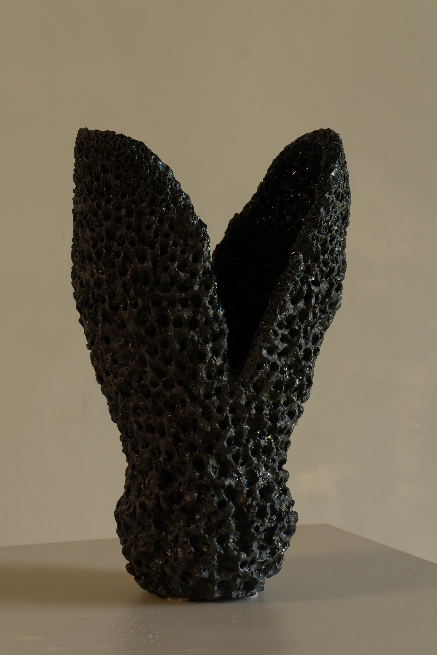 VASE NOIR