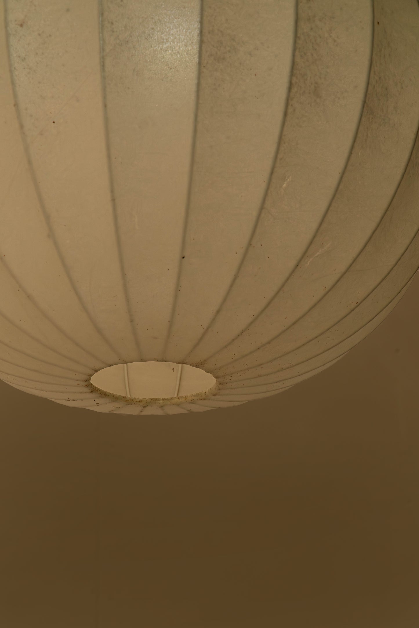 SUSPENSION COCOON RONDE II
