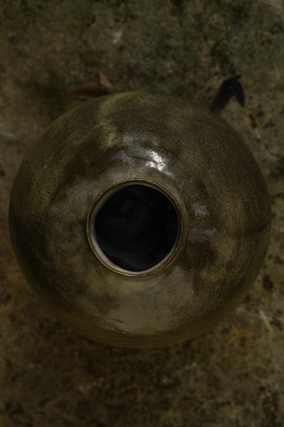 VASE MOSS 1