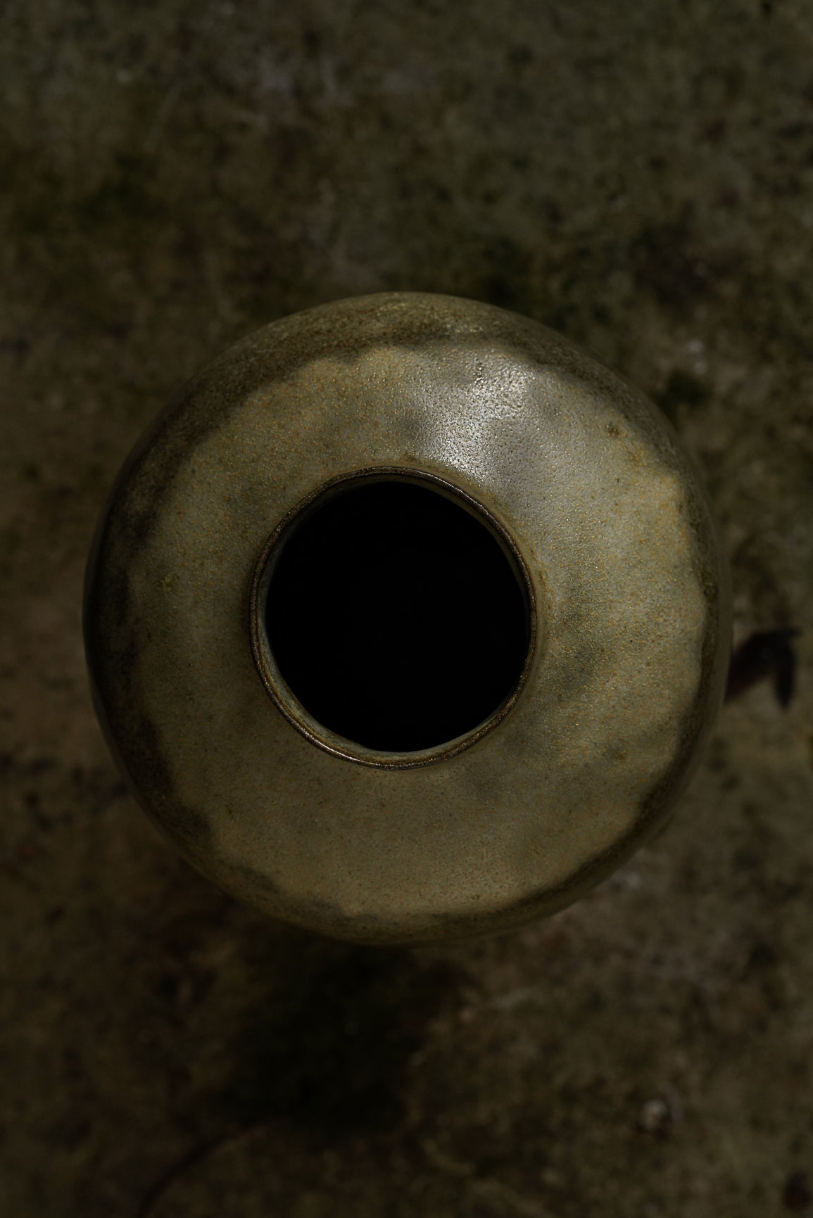 VASE MOSS 3