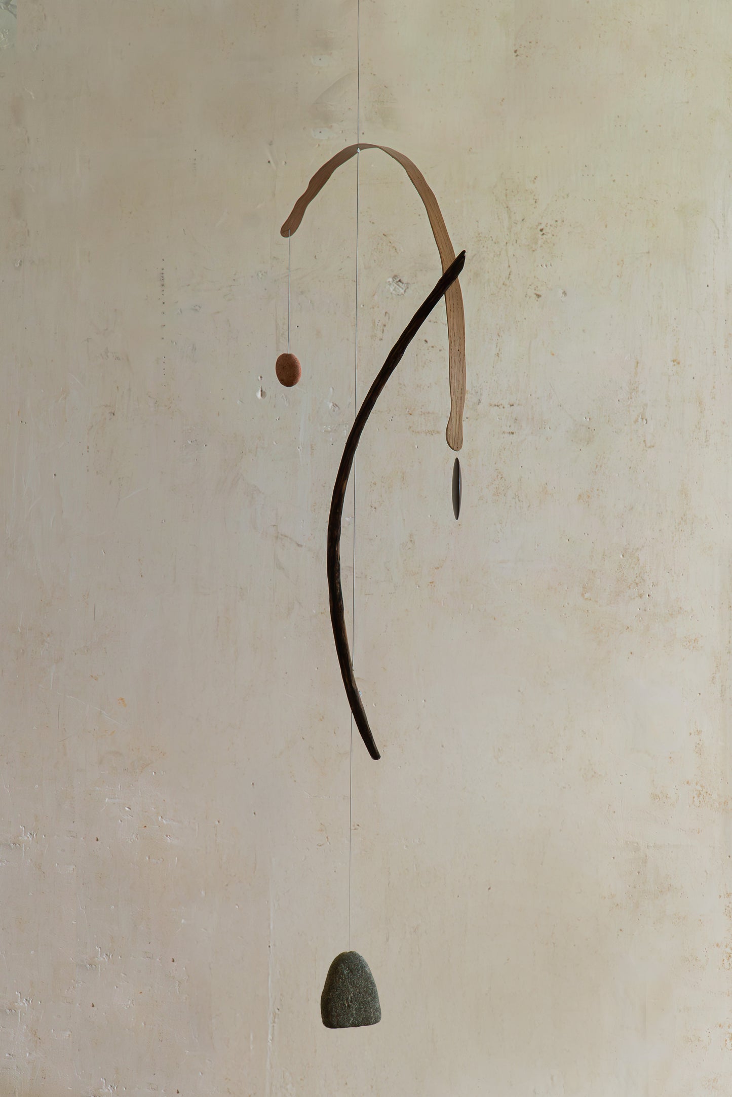 SUSPENSION #36
