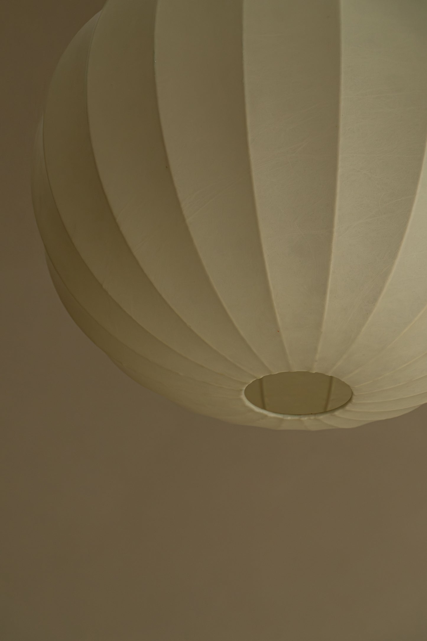 SUSPENSION COCOON