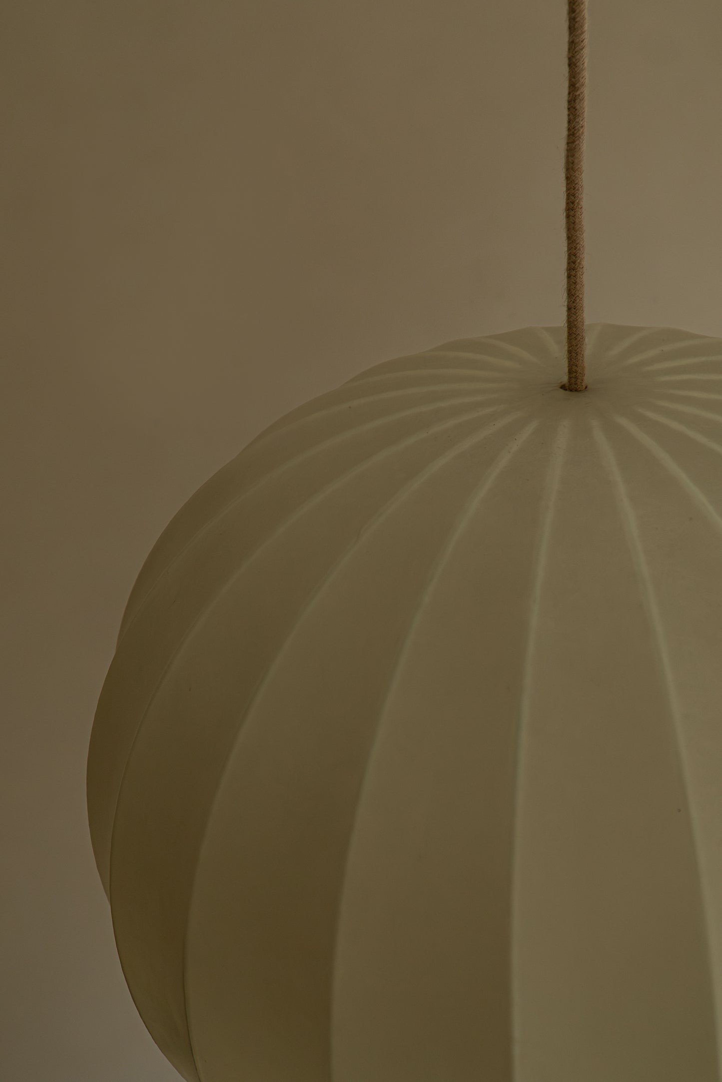 SUSPENSION COCOON