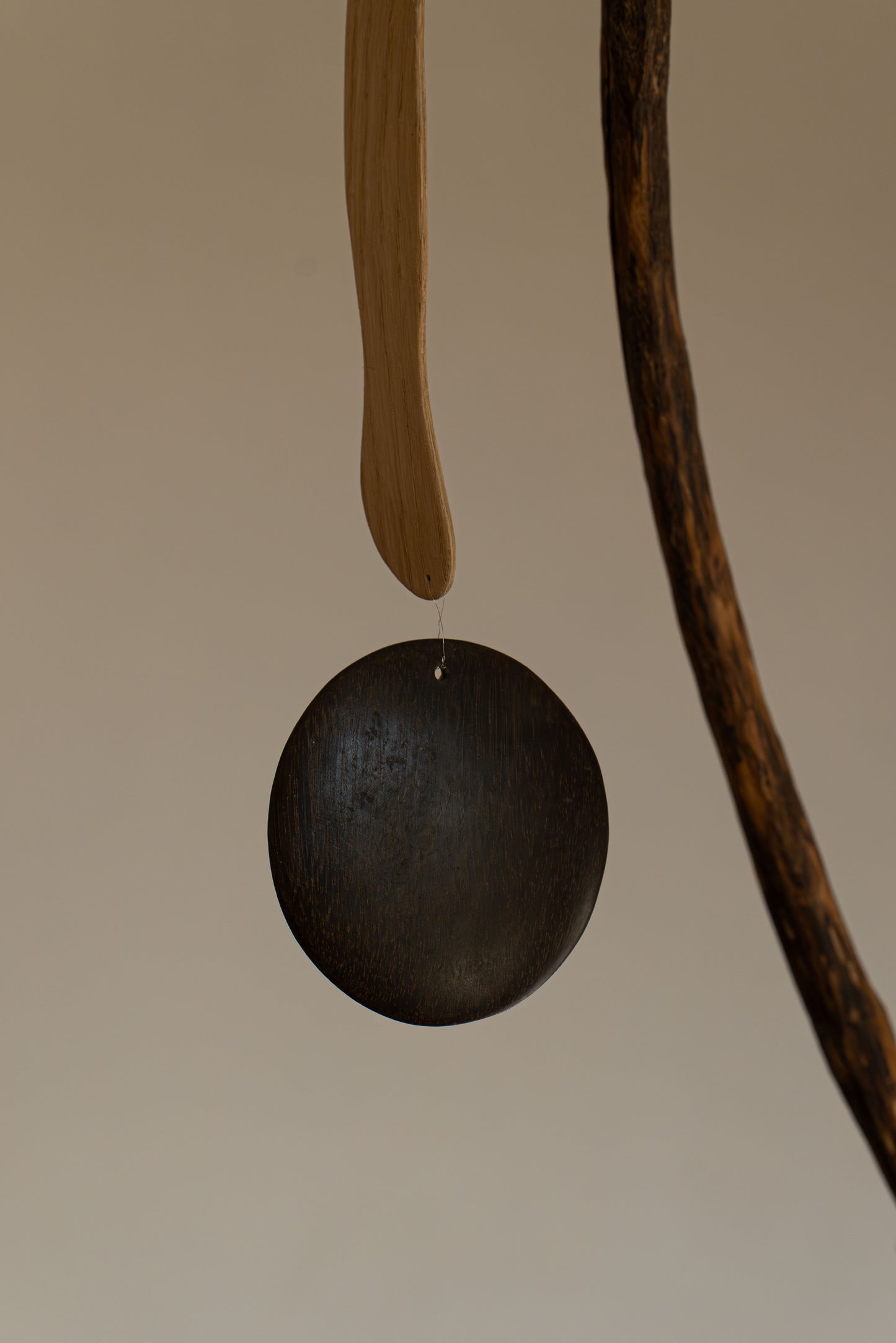 SUSPENSION #36