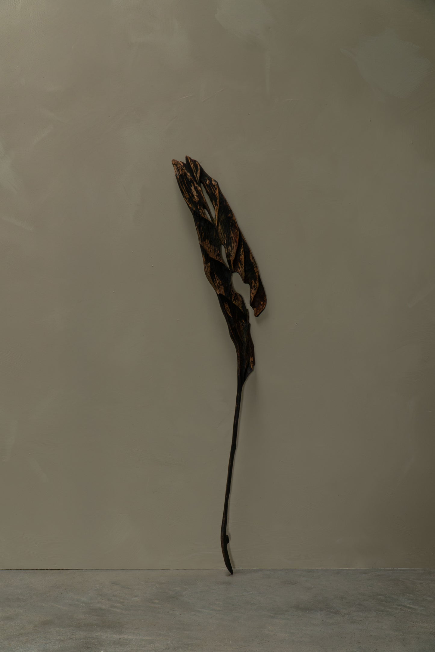 GRANDE FEUILLE