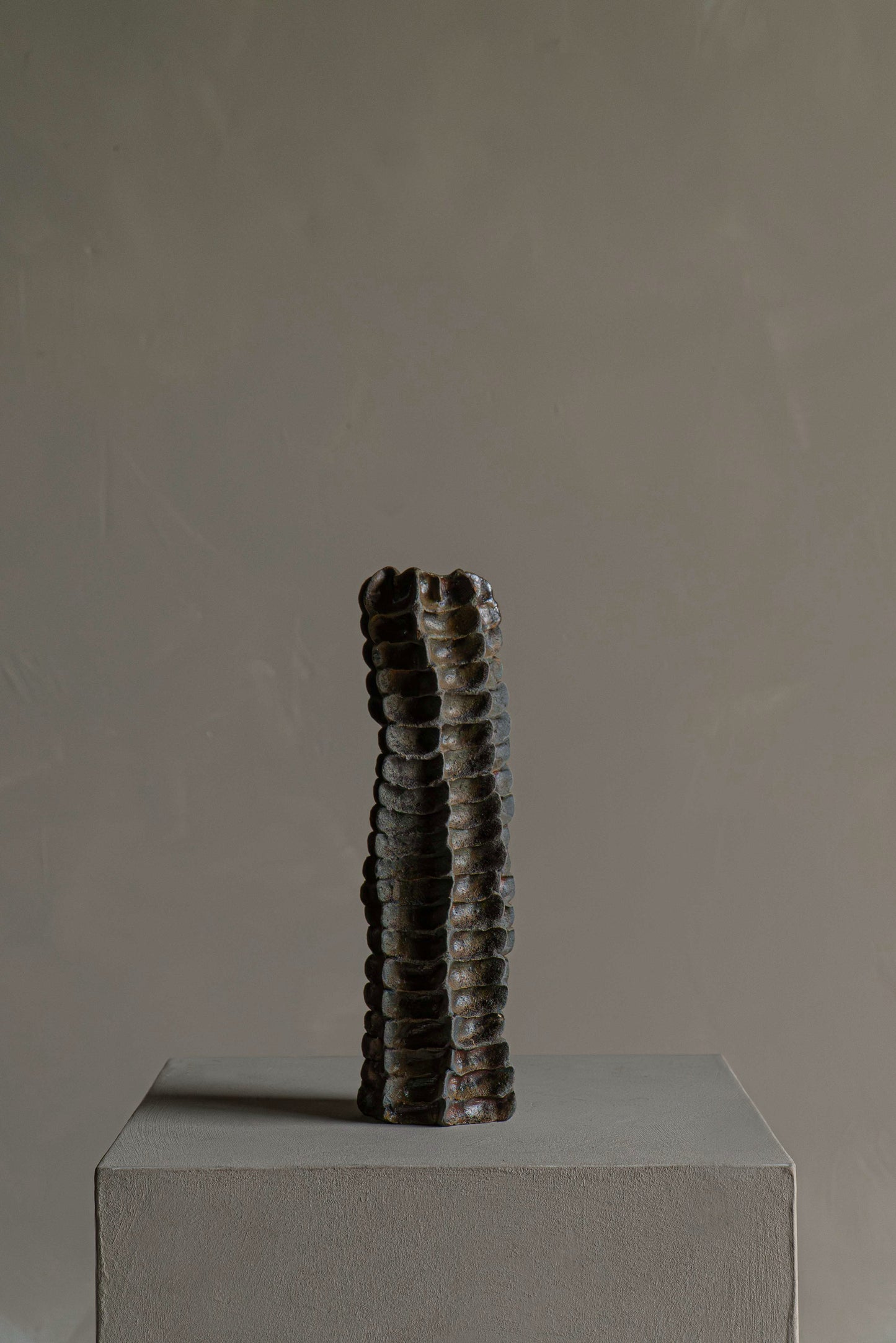 SOLIFLORE II