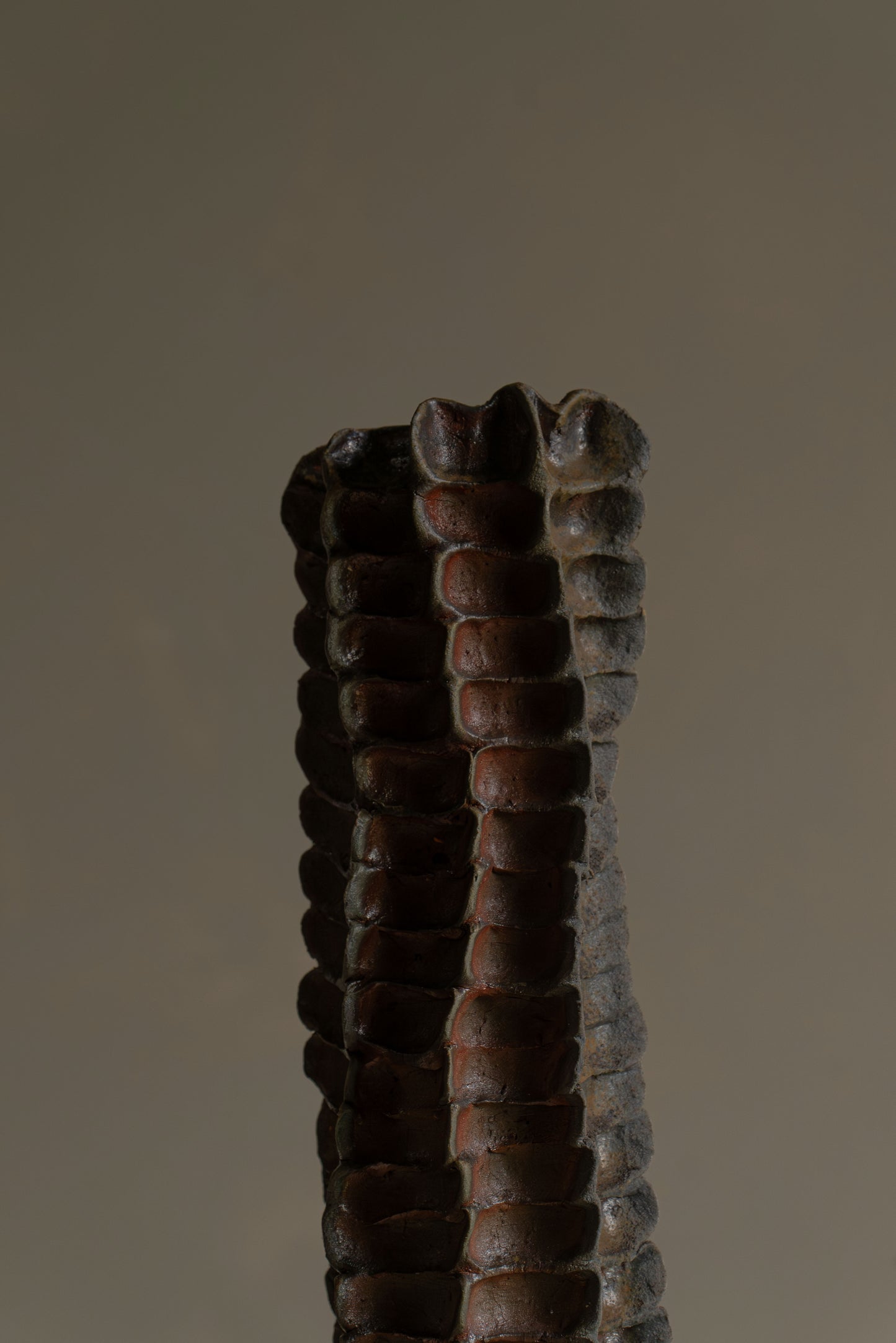 SOLIFLORE II