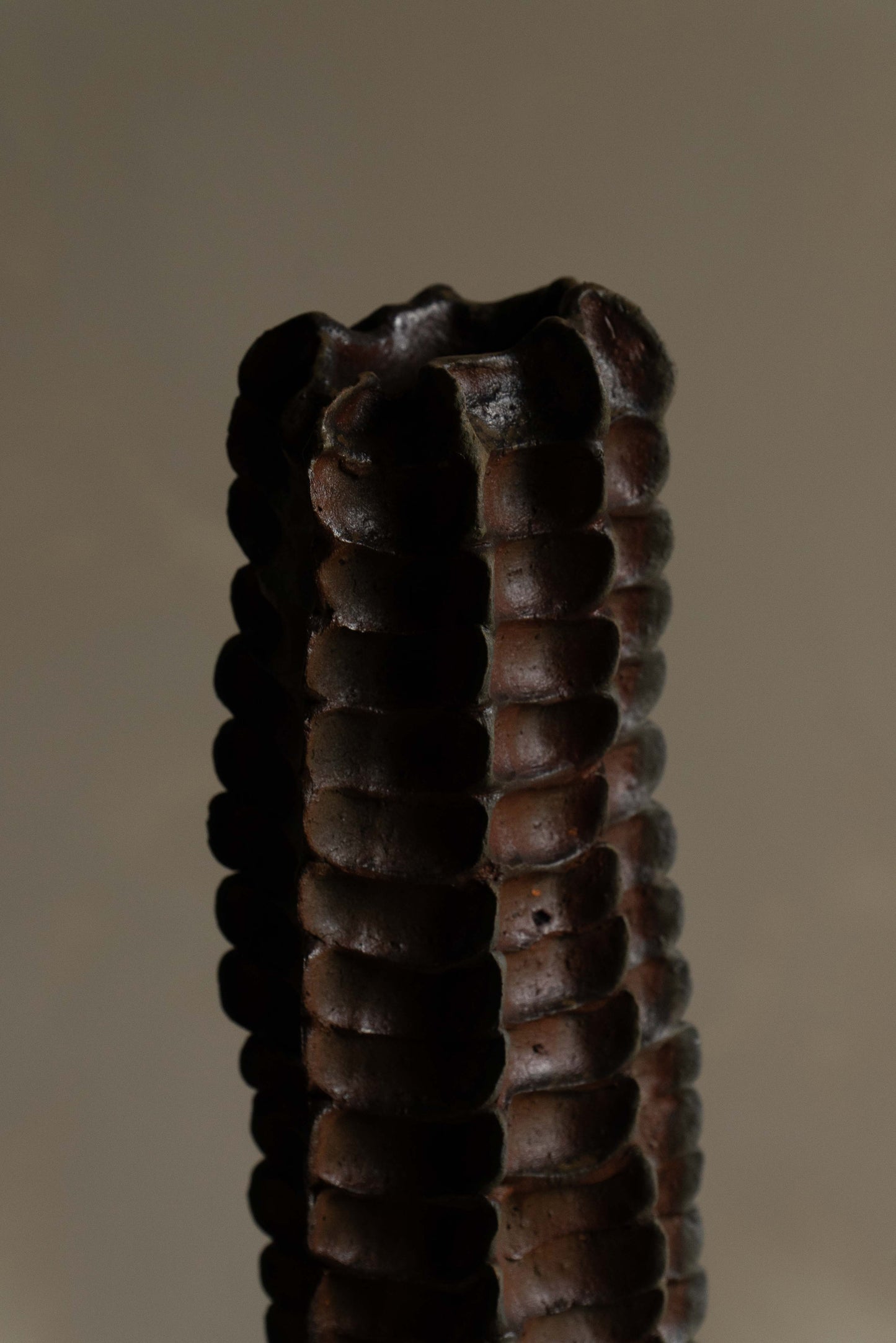 SOLIFLORE II