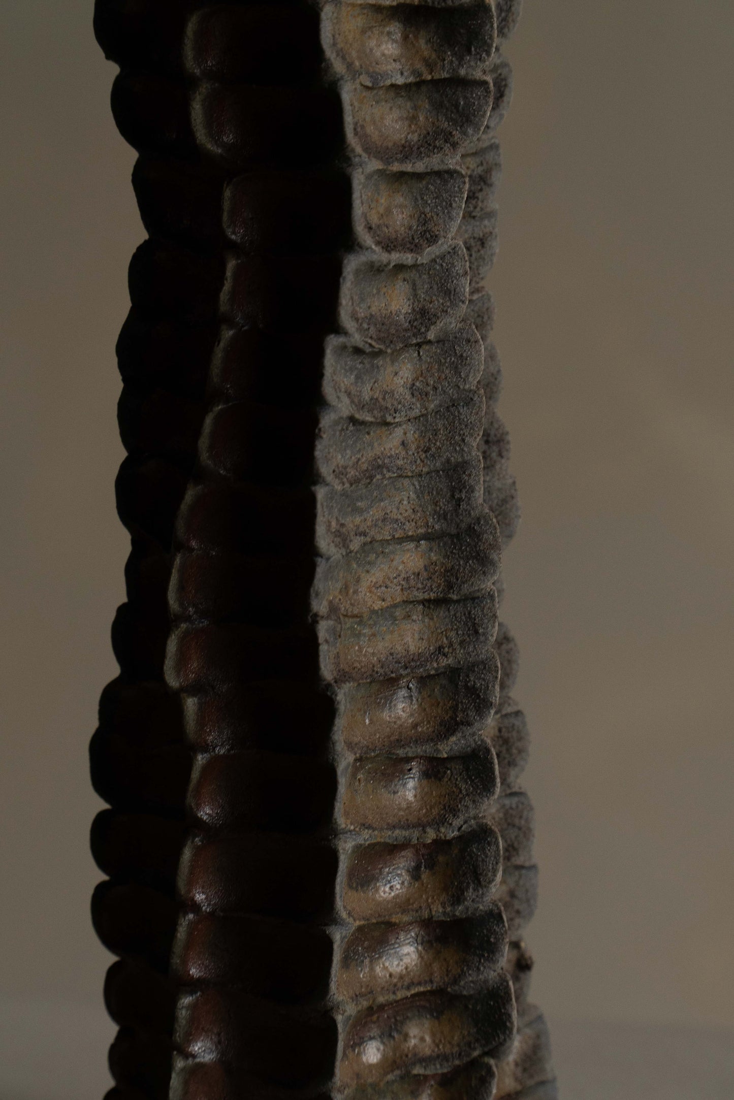 SOLIFLORE II