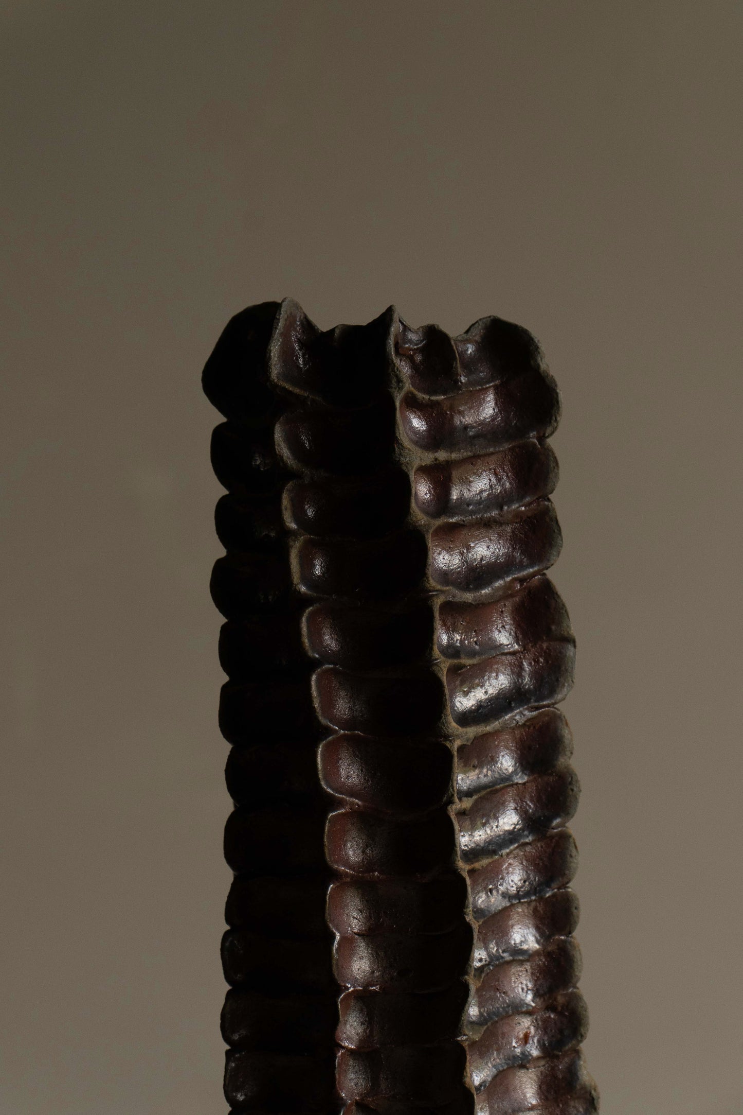 SOLIFLORE I