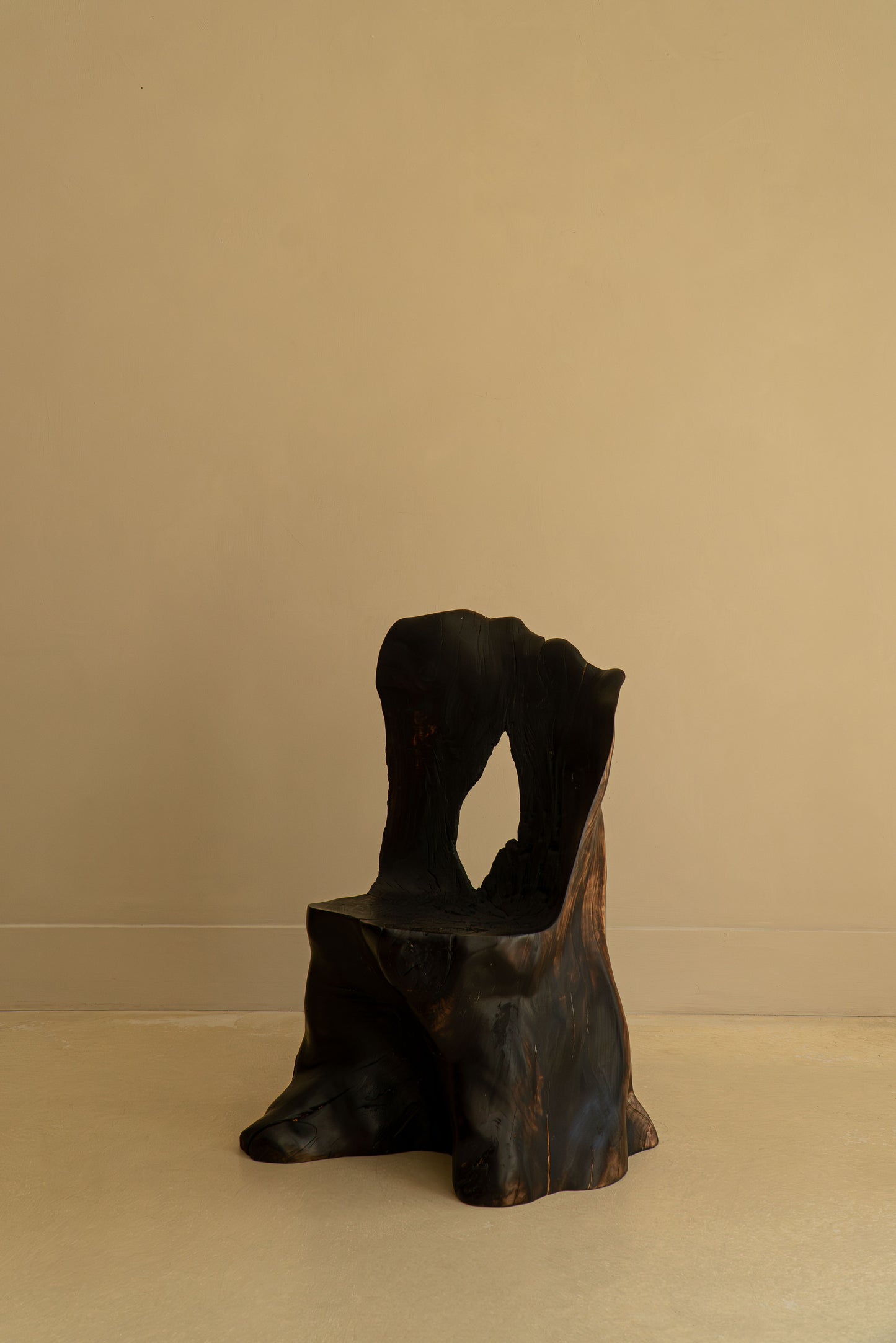L’OMBRE D'UN ARBRE