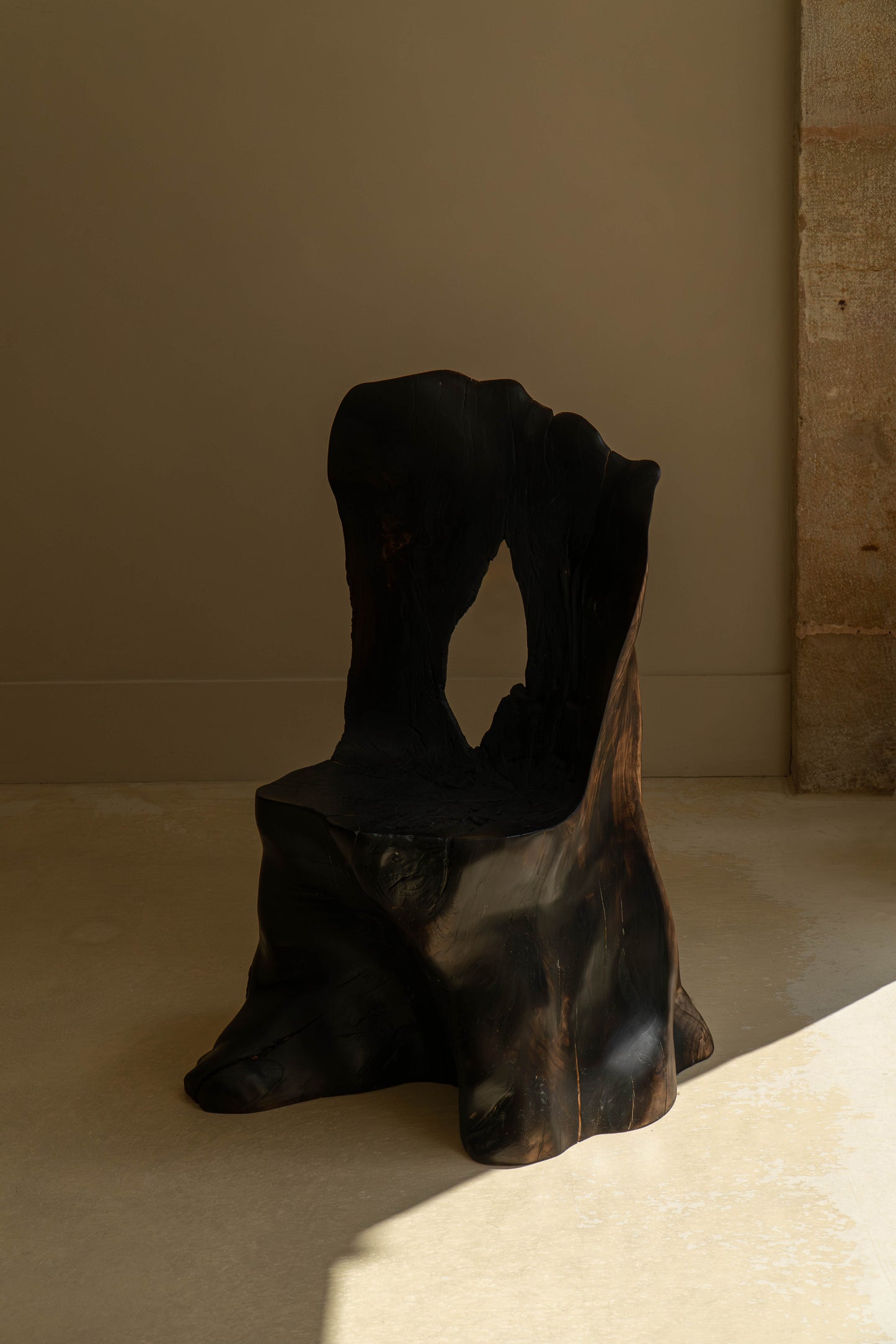 L’OMBRE D'UN ARBRE