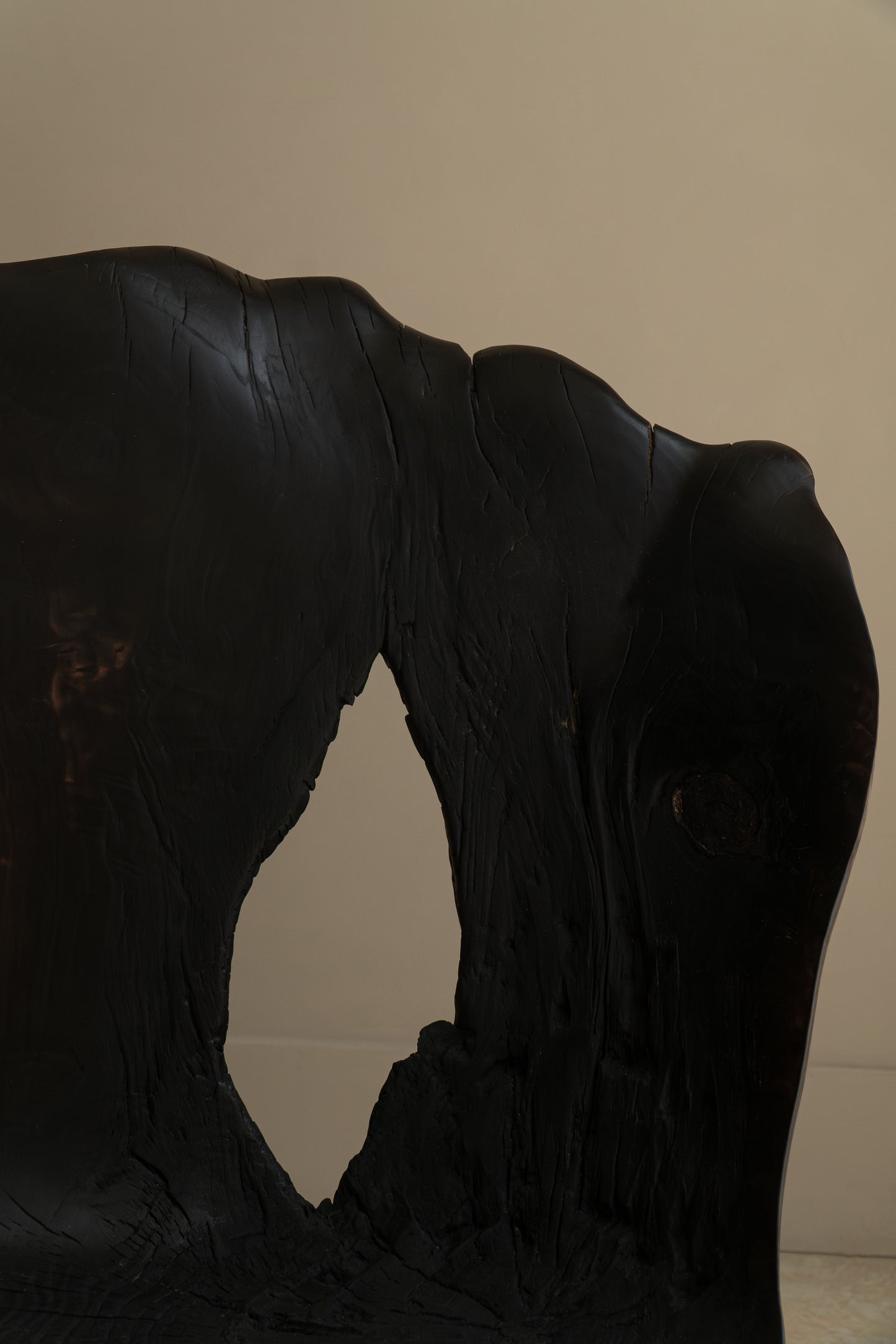 L’OMBRE D'UN ARBRE