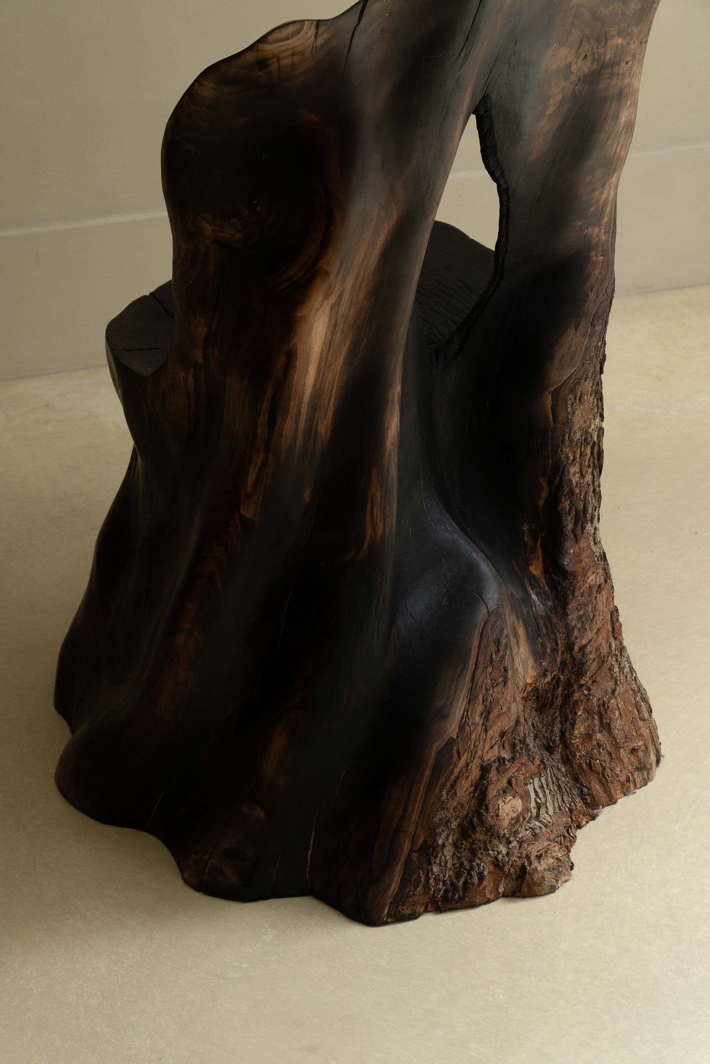 L’OMBRE D'UN ARBRE