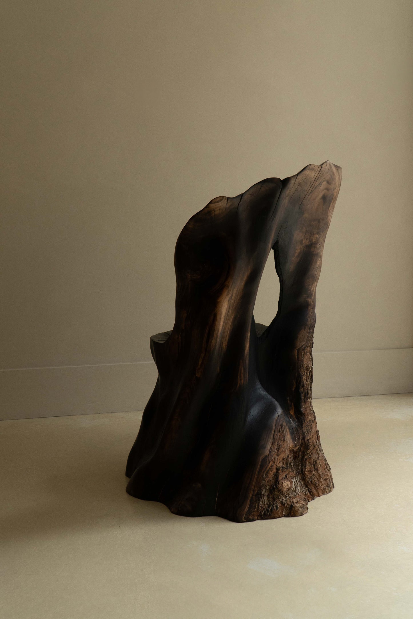 L’OMBRE D'UN ARBRE