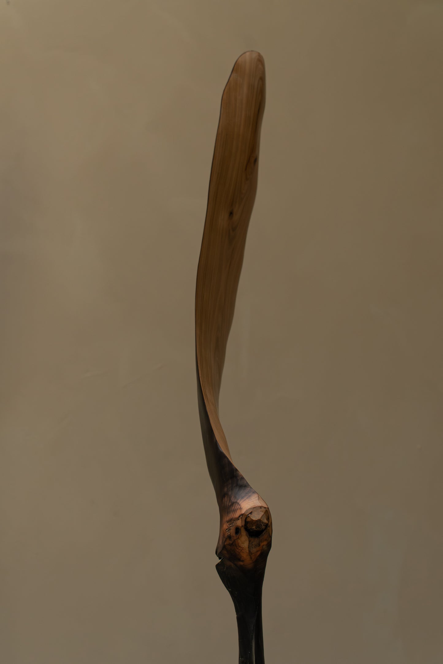 ALULA II
