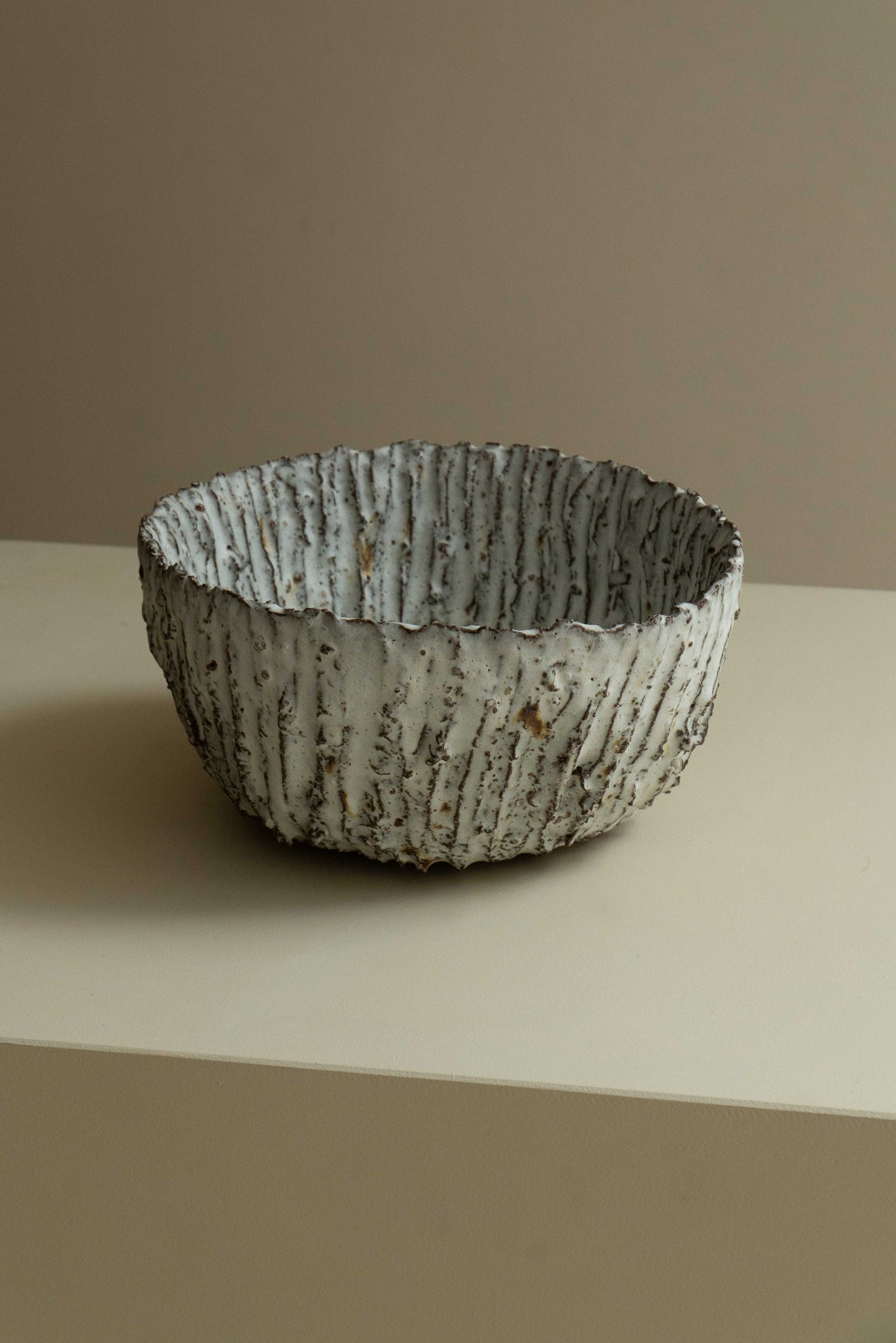 COUPE FOSSILE