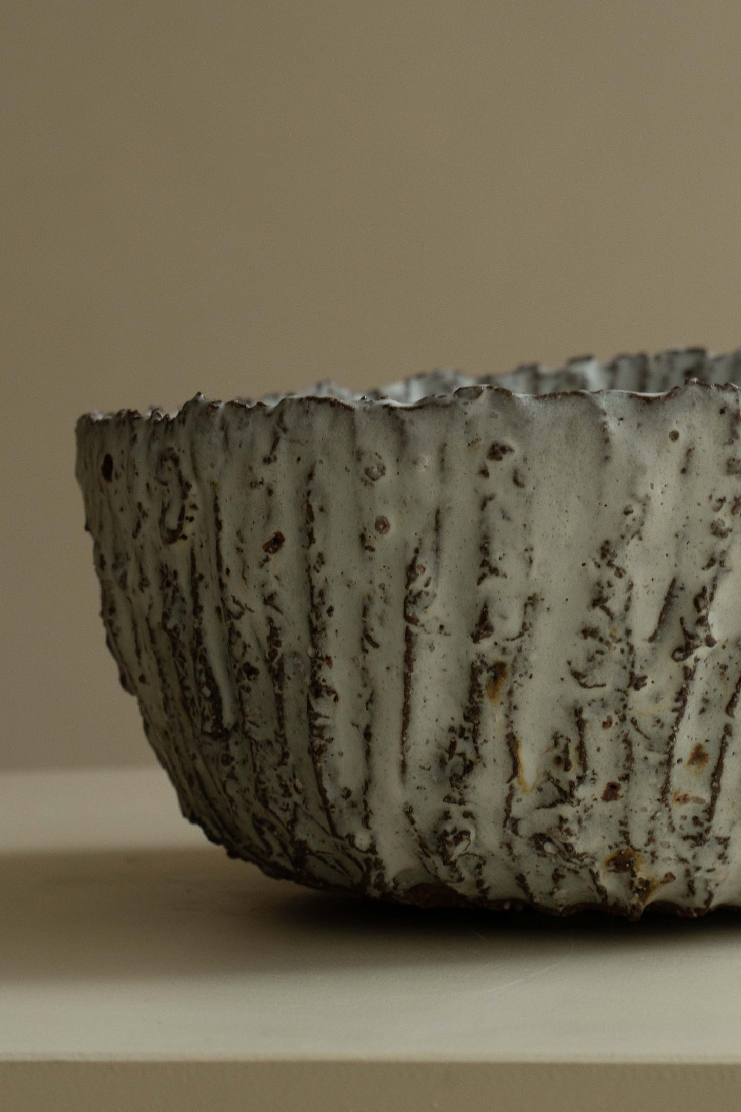 COUPE FOSSILE