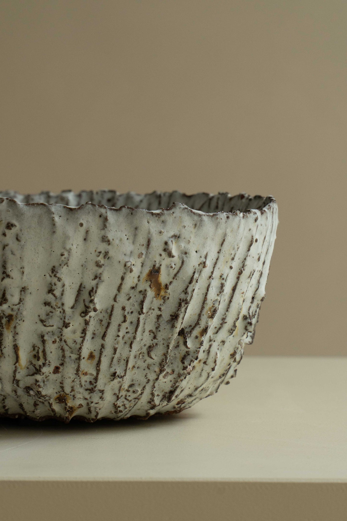 COUPE FOSSILE