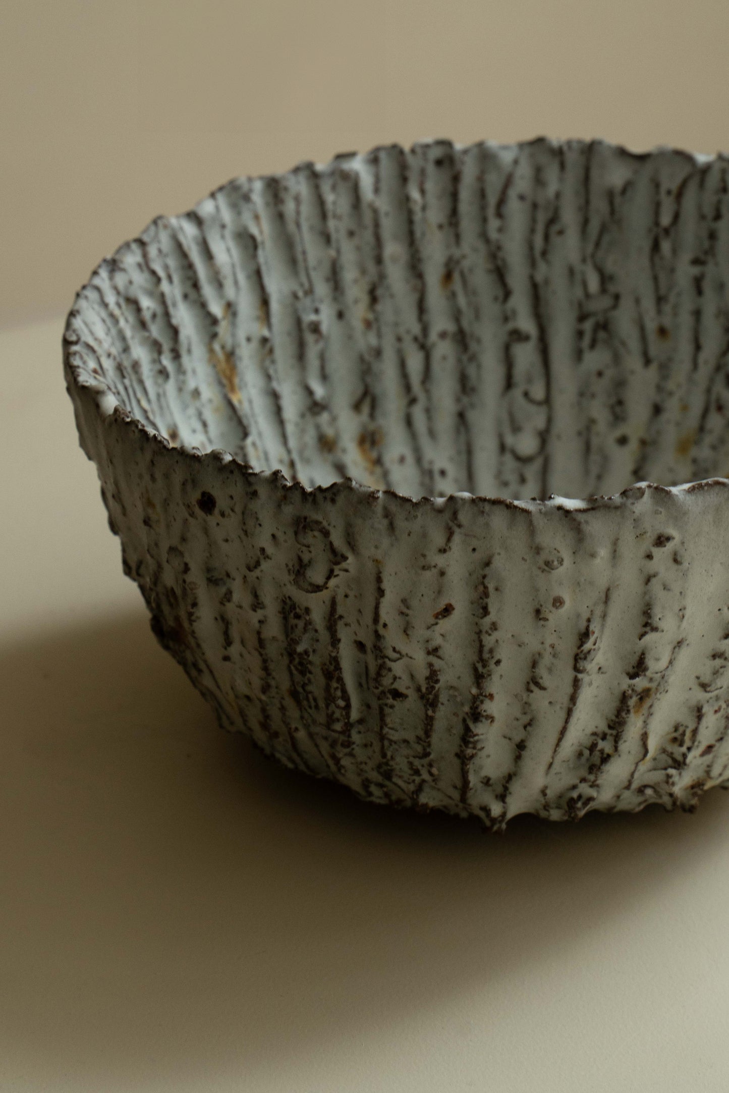 COUPE FOSSILE