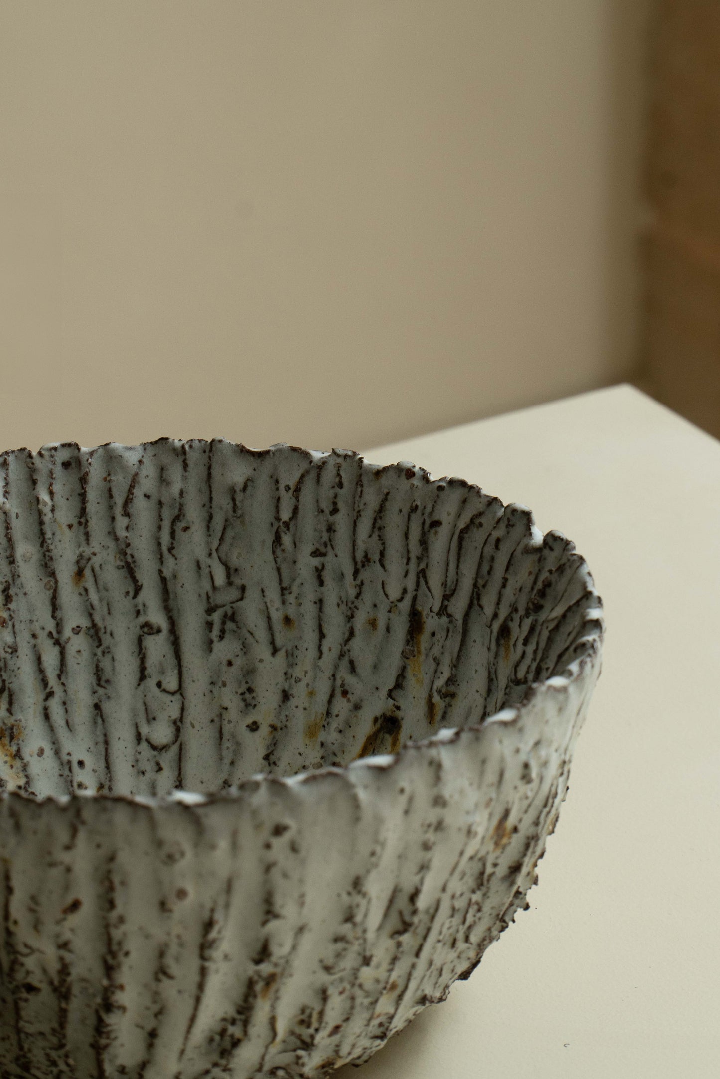 COUPE FOSSILE