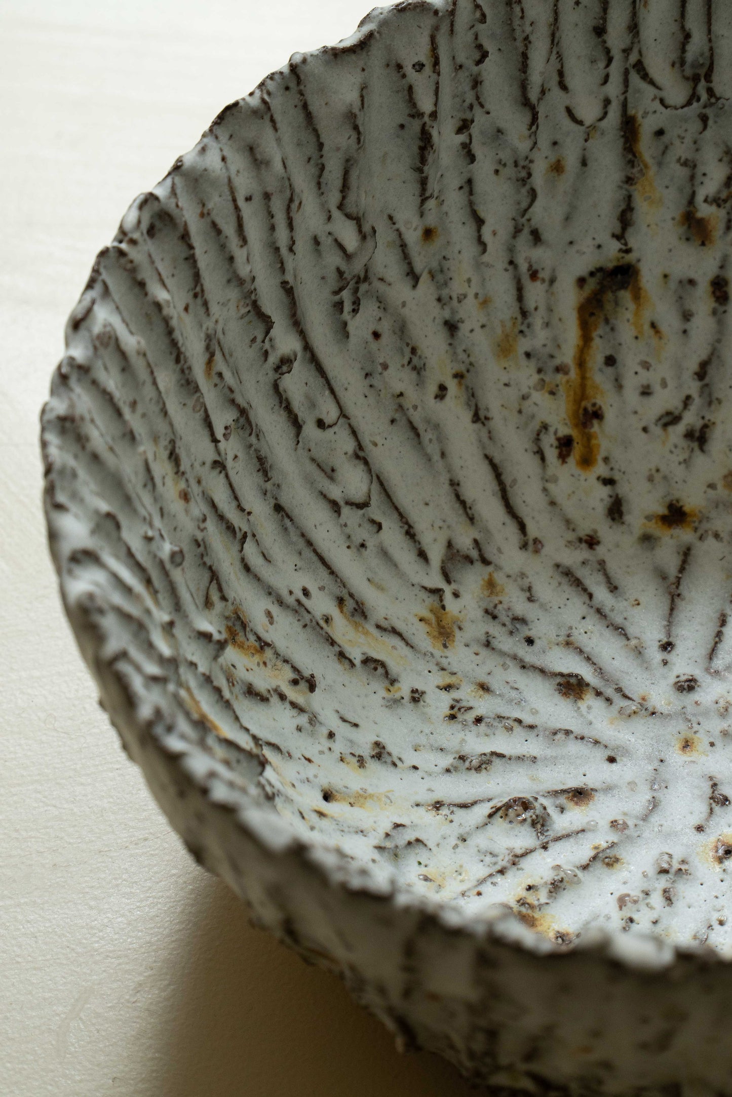 COUPE FOSSILE