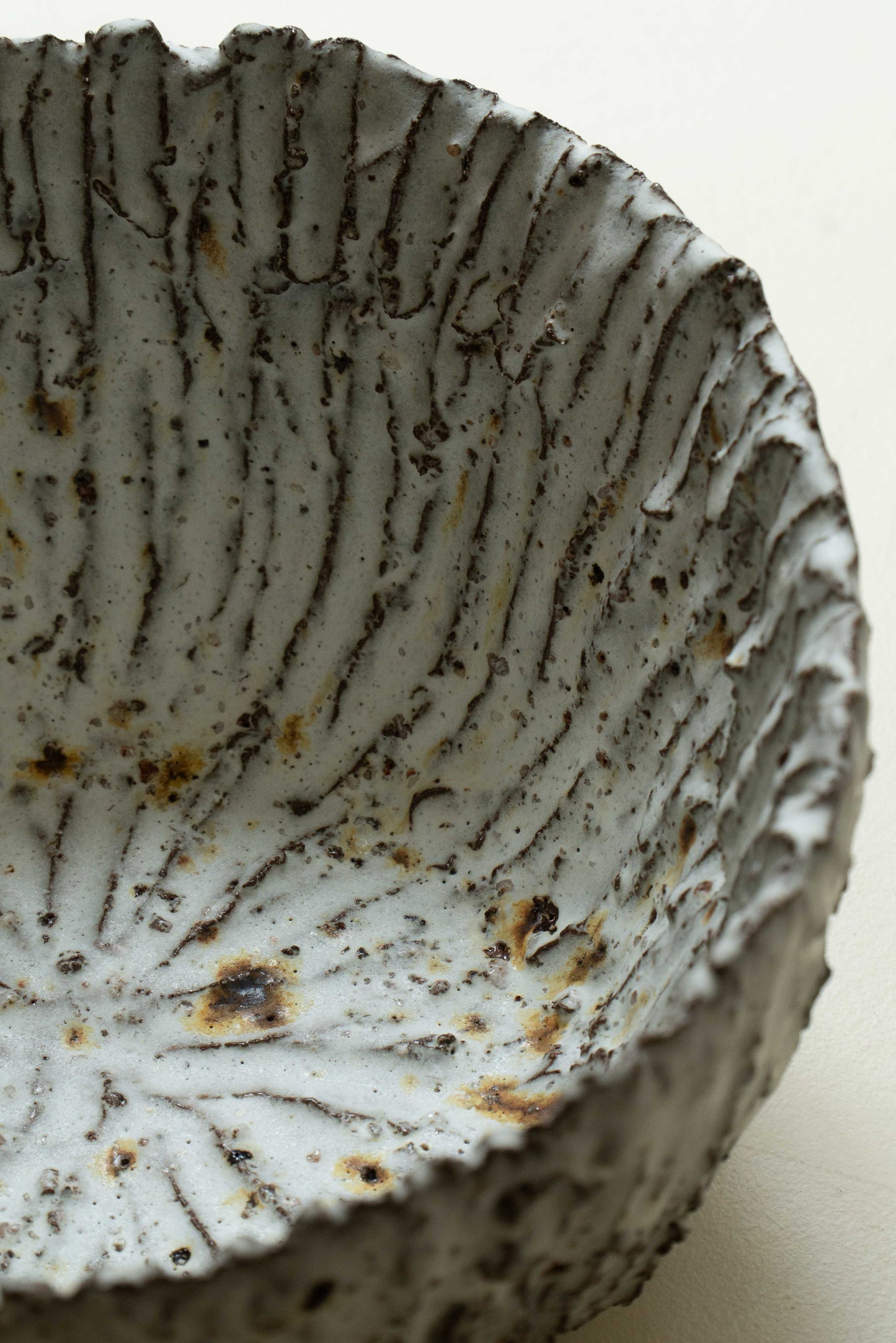 COUPE FOSSILE