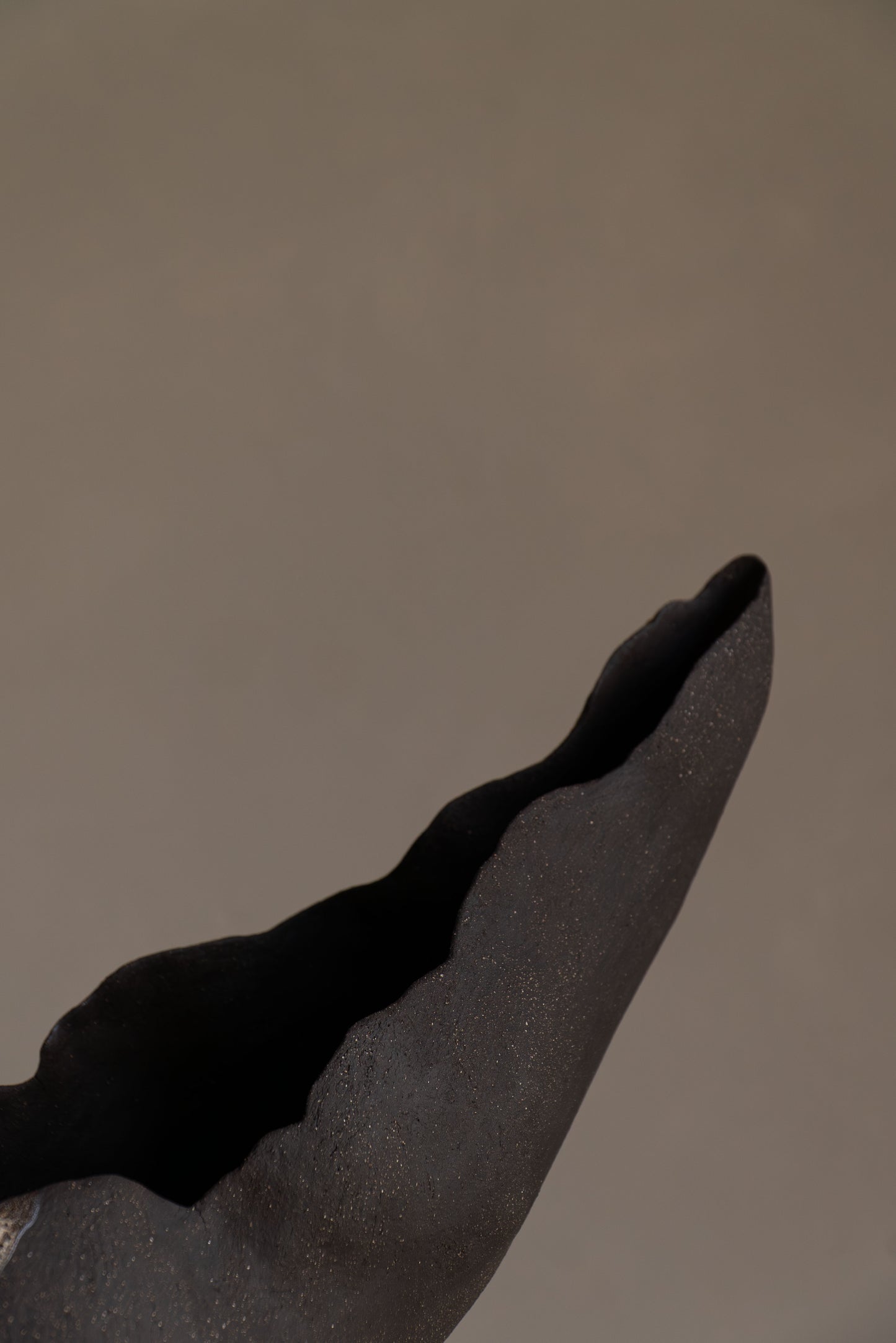 COUPE LA LUNE