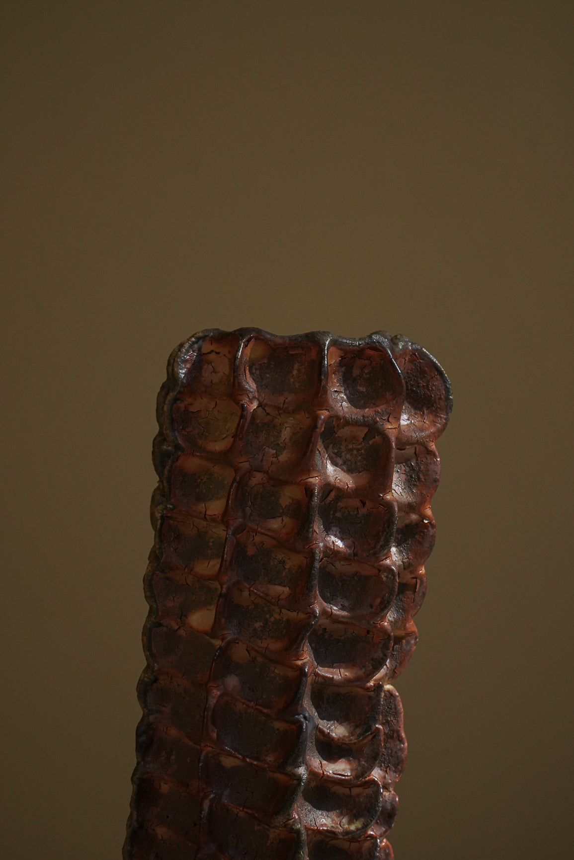 SOLIFLORE IX