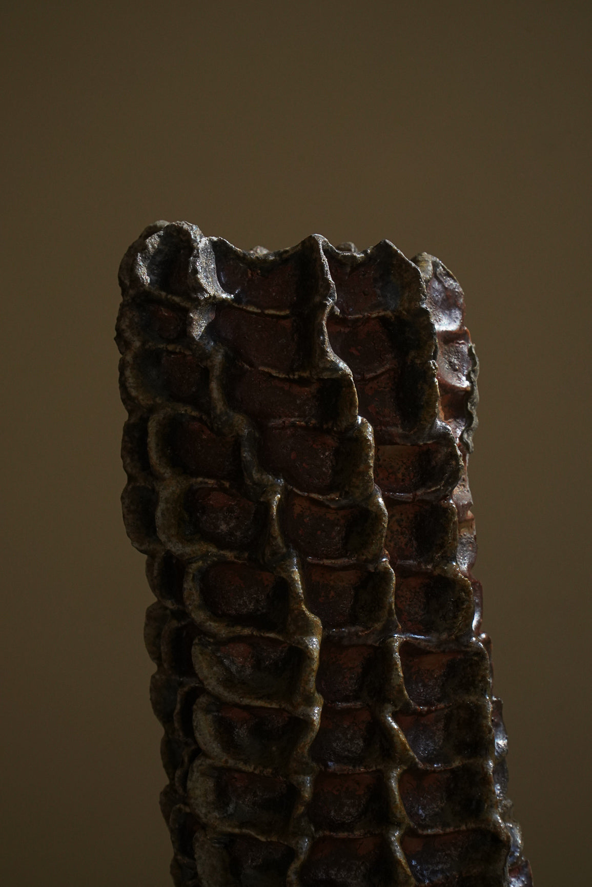 SOLIFLORE VIII