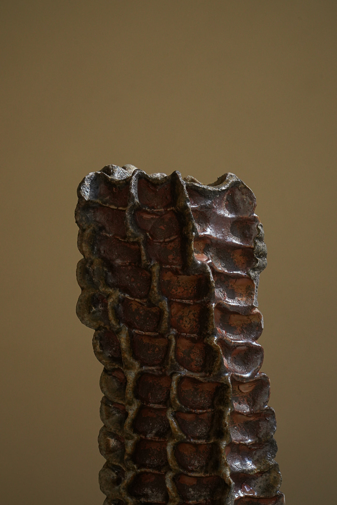 SOLIFLORE VIII