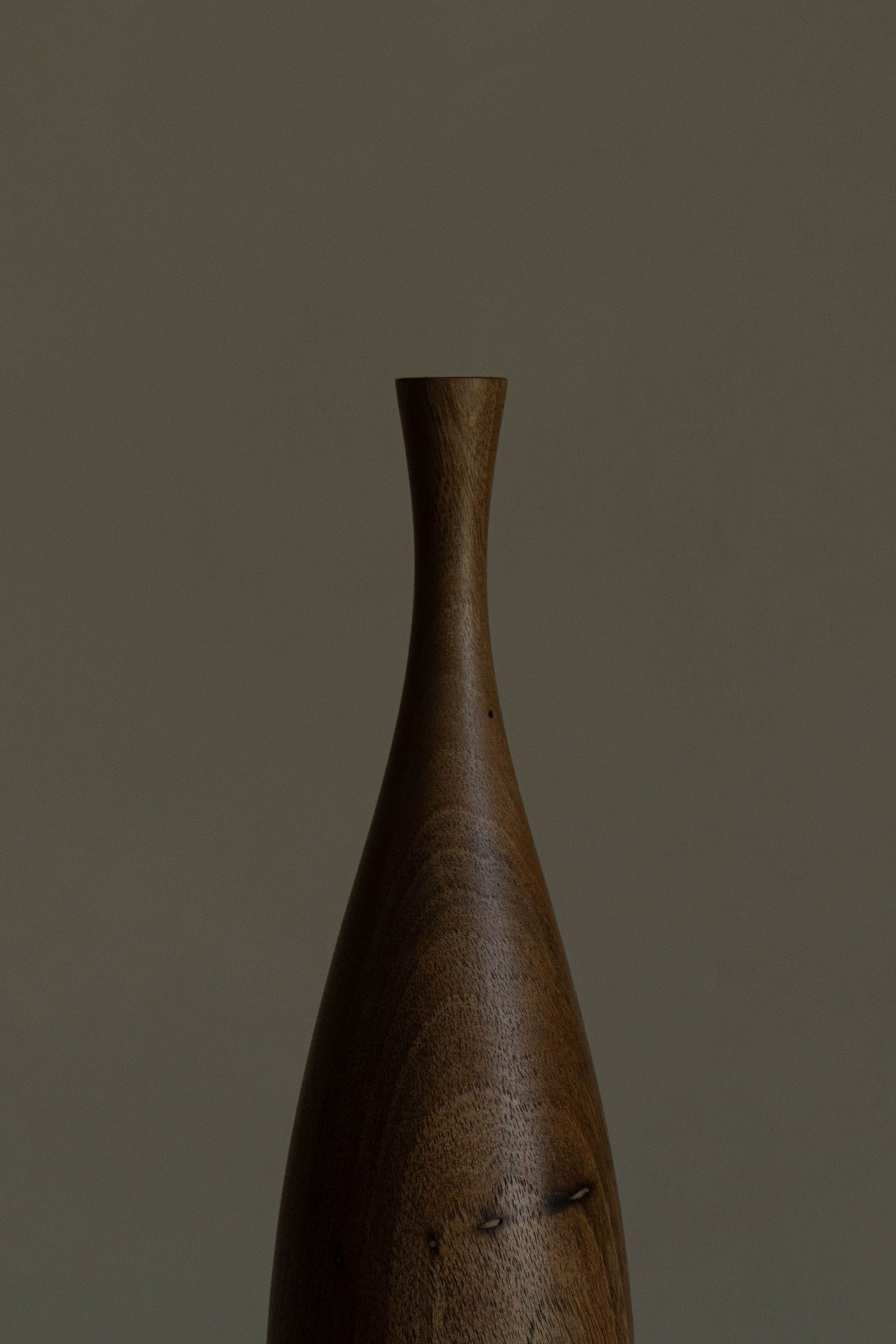 SOLIFLORE OLIVE NOYER I