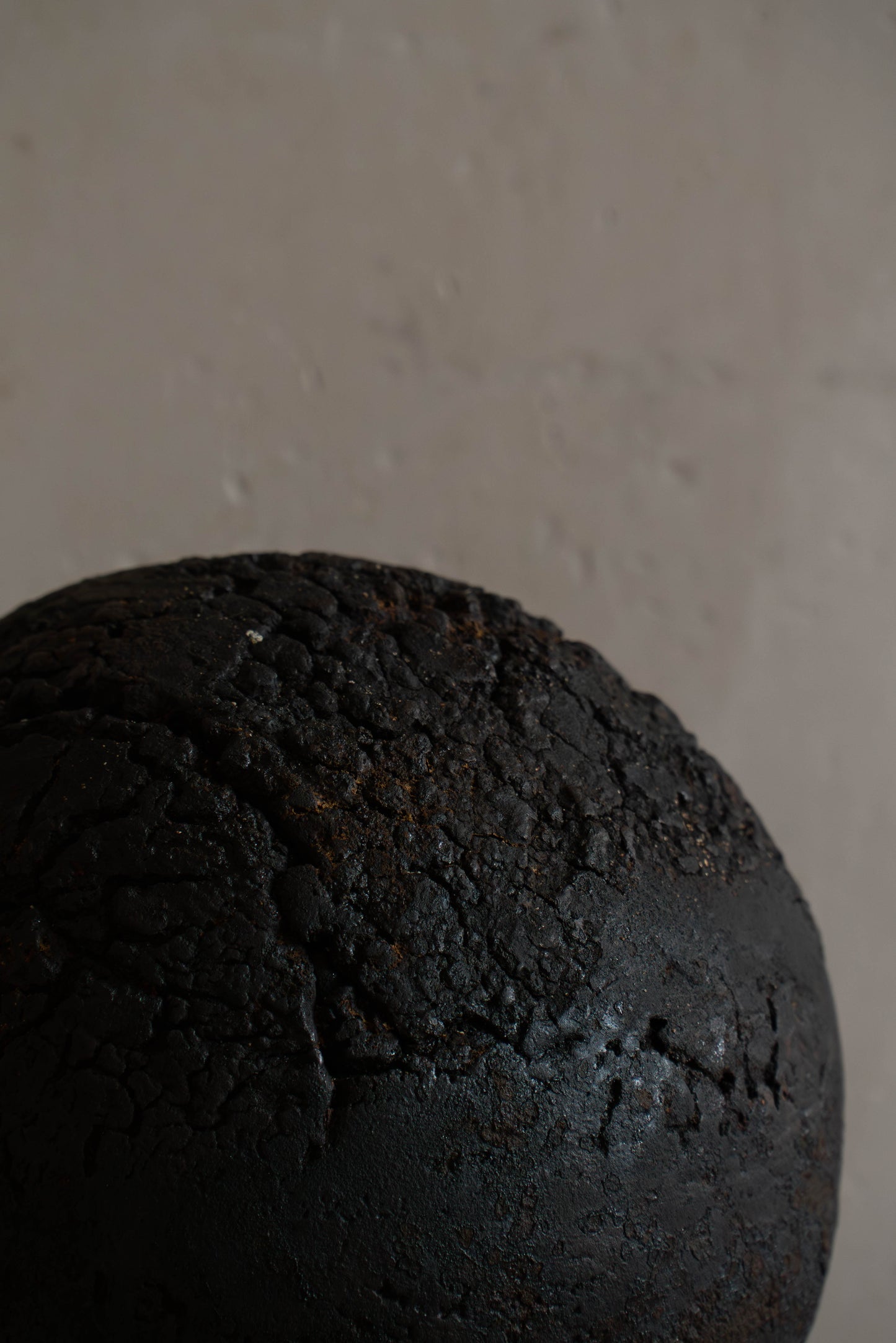 TERRA NIGRA