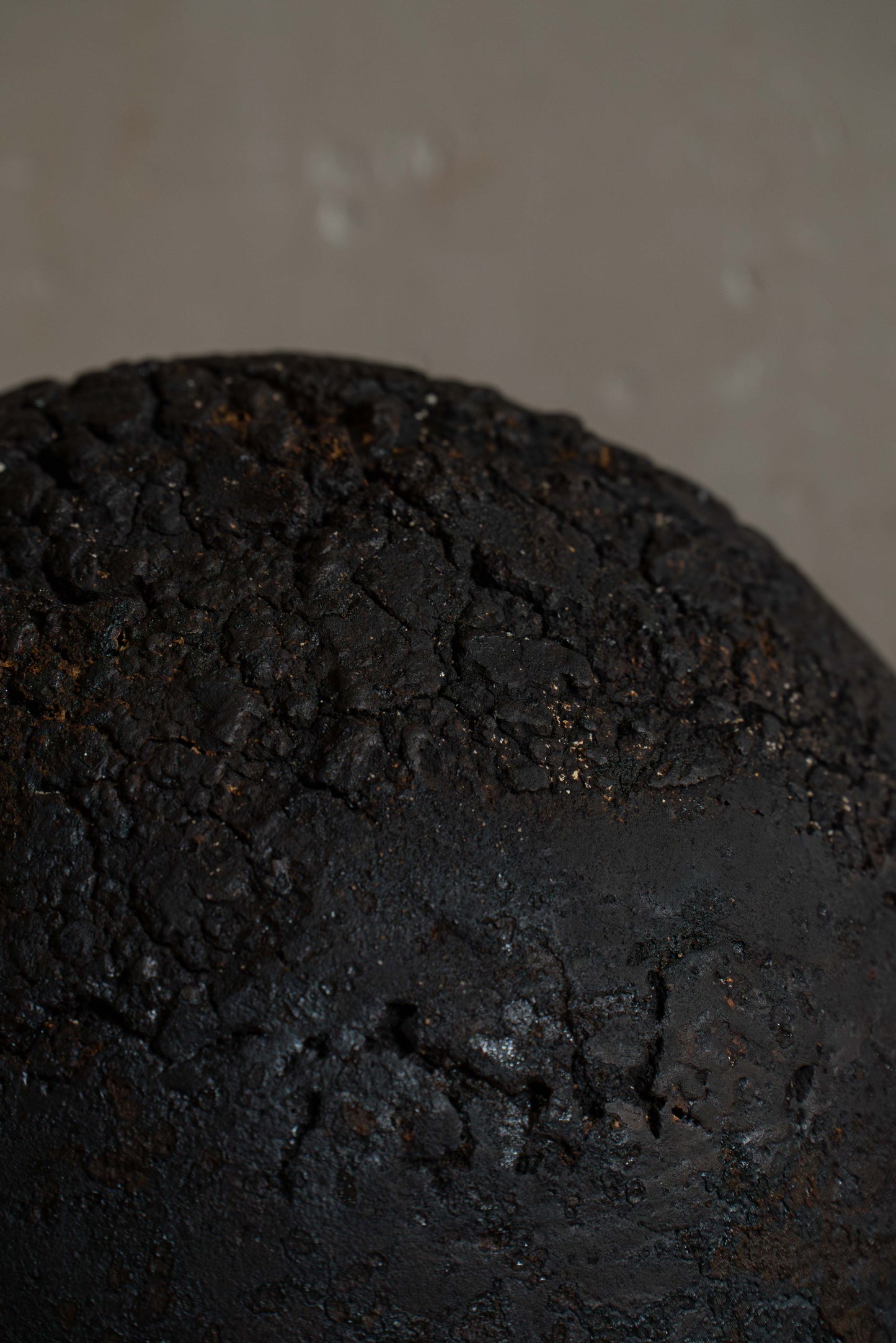 TERRA NIGRA