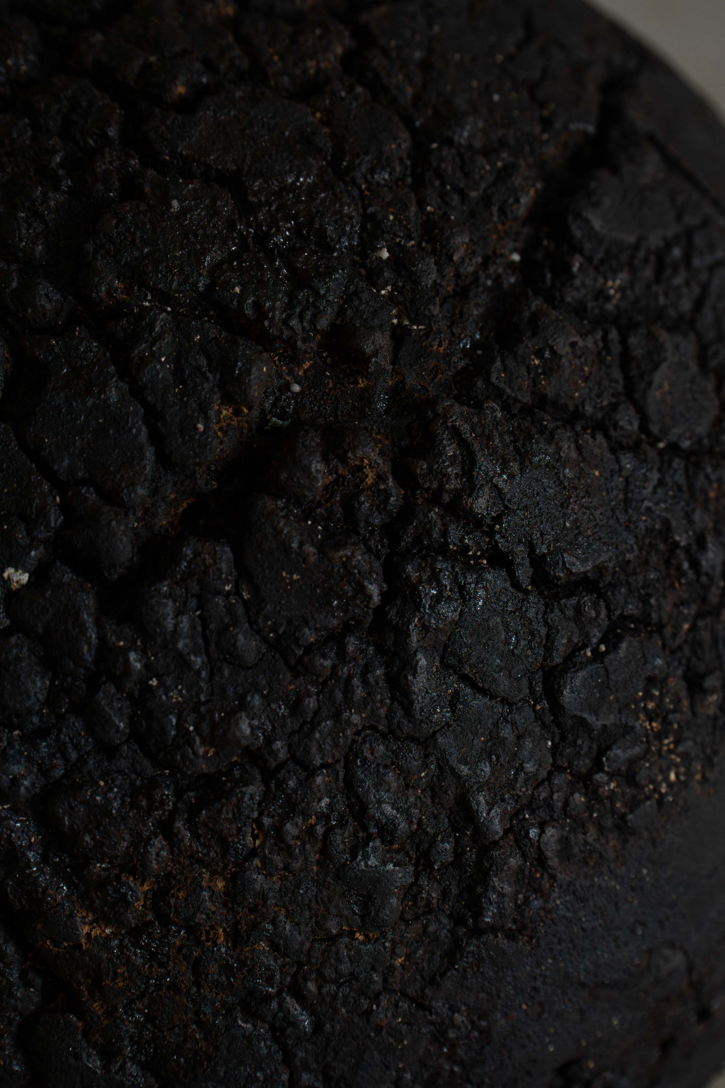 TERRA NIGRA