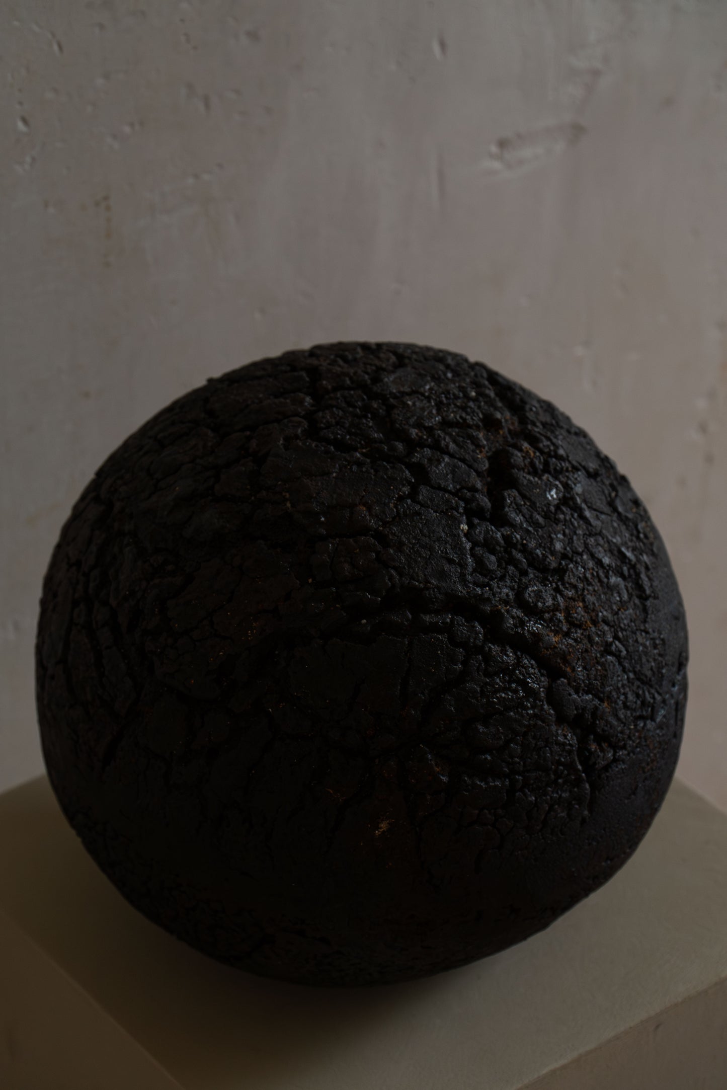 TERRA NIGRA