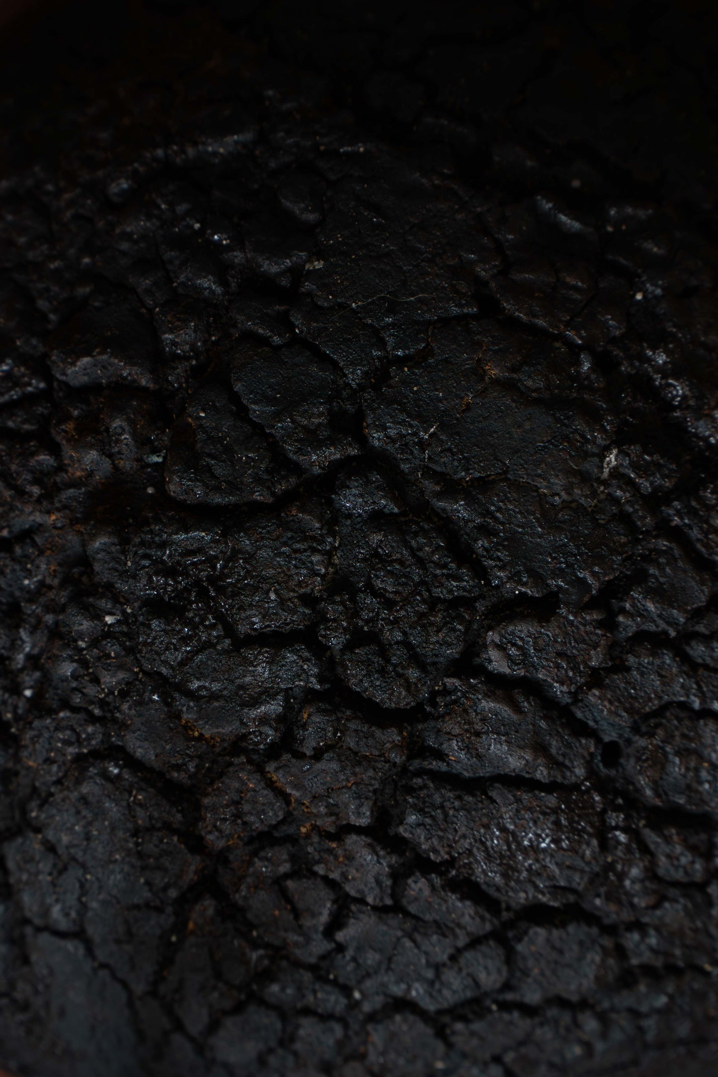 TERRA NIGRA