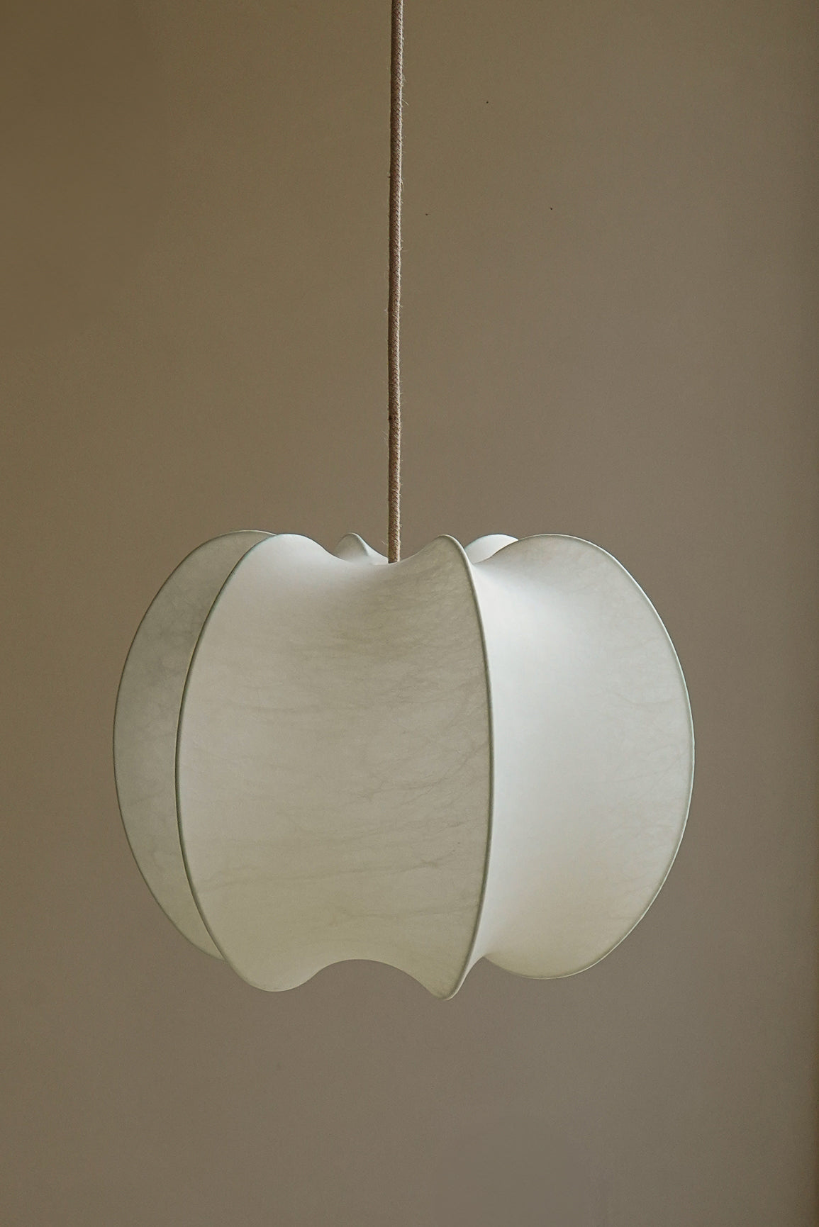 SUSPENSION COCOON