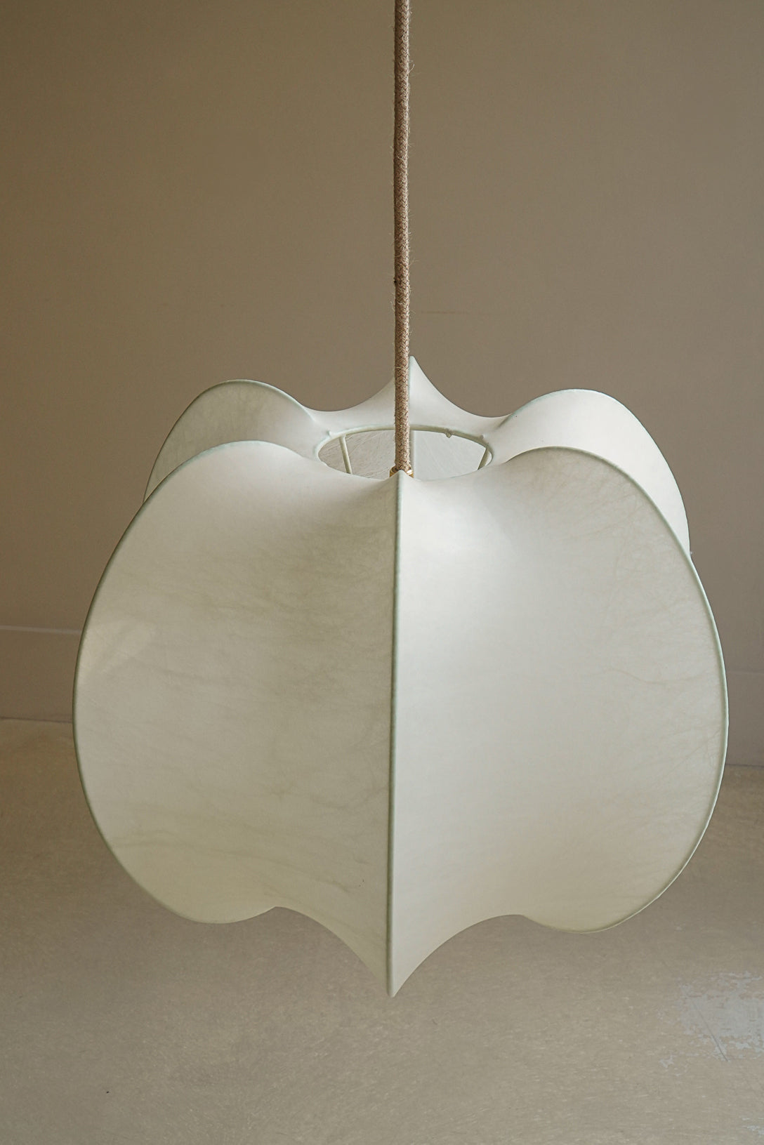 SUSPENSION COCOON