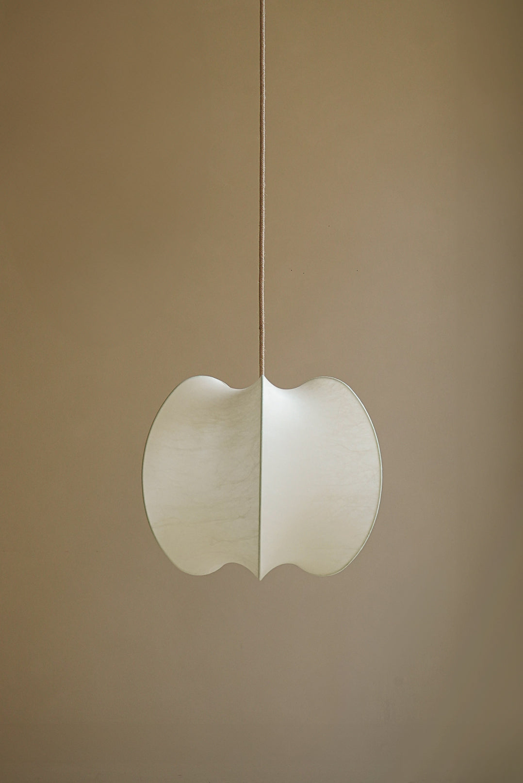 SUSPENSION COCOON