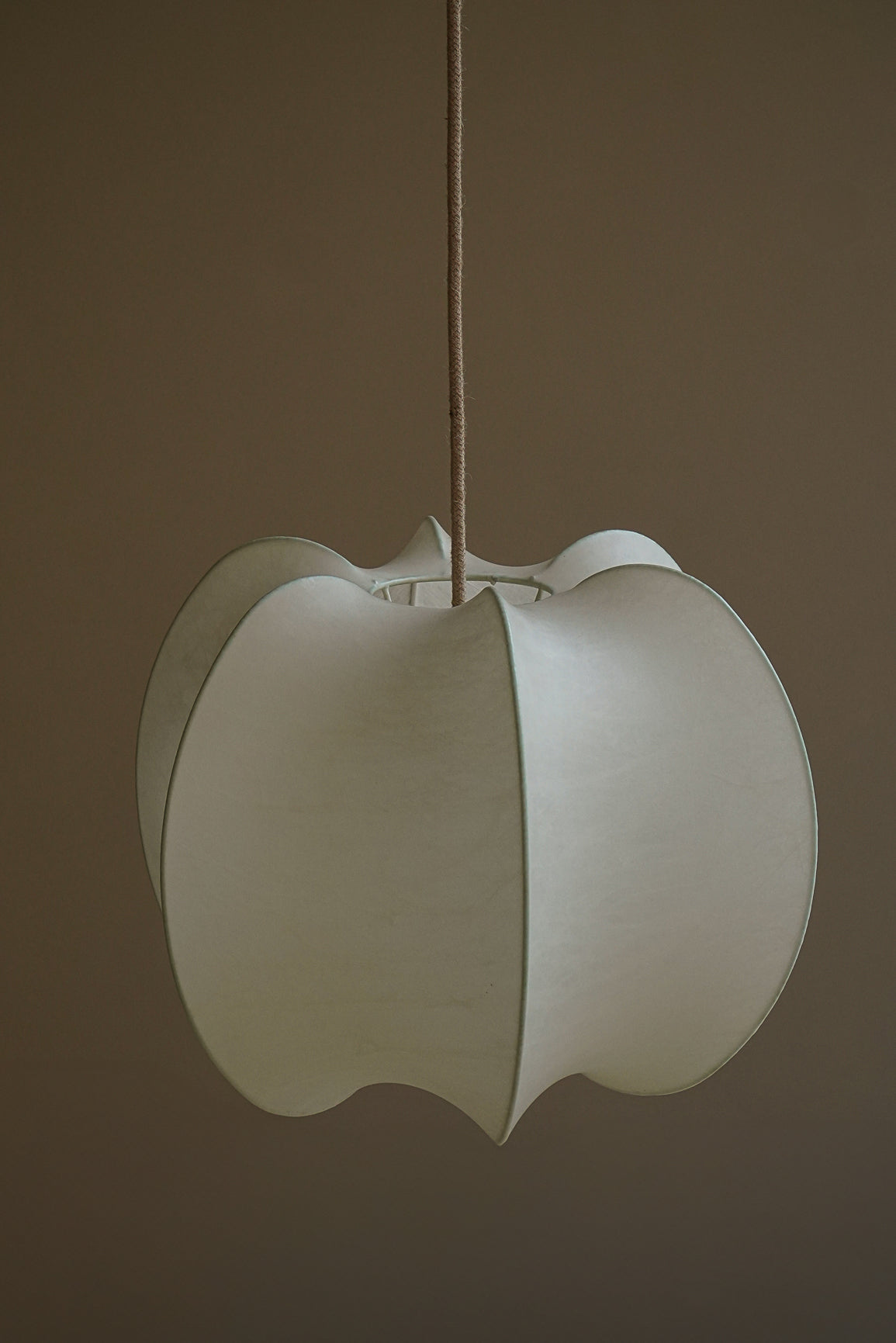 SUSPENSION COCOON