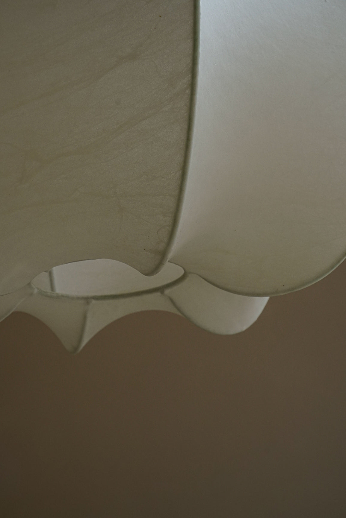 SUSPENSION COCOON
